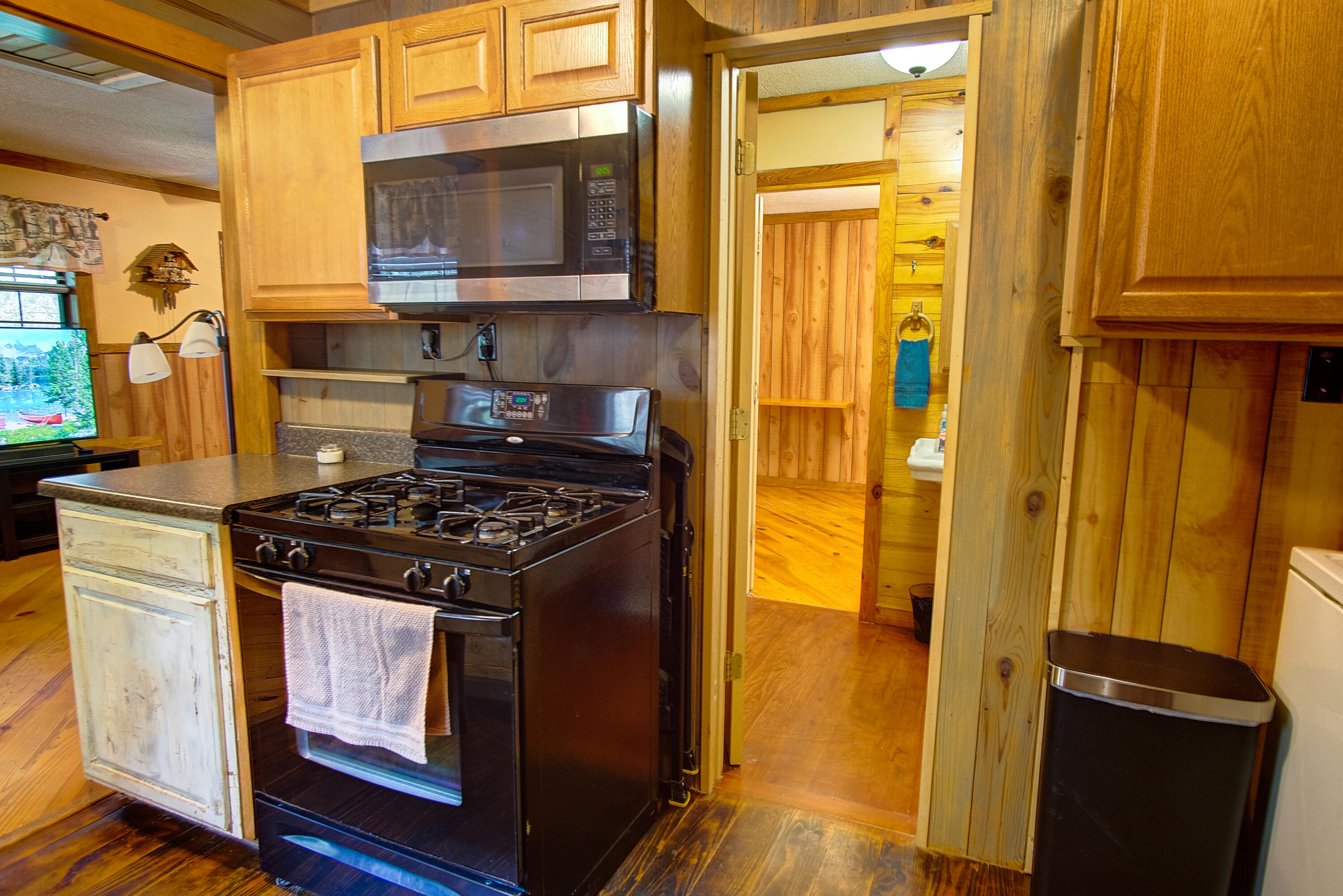 4563 Manning Mill Road Summerville, GA 30747 - Photo 13 of 82 DSC061681