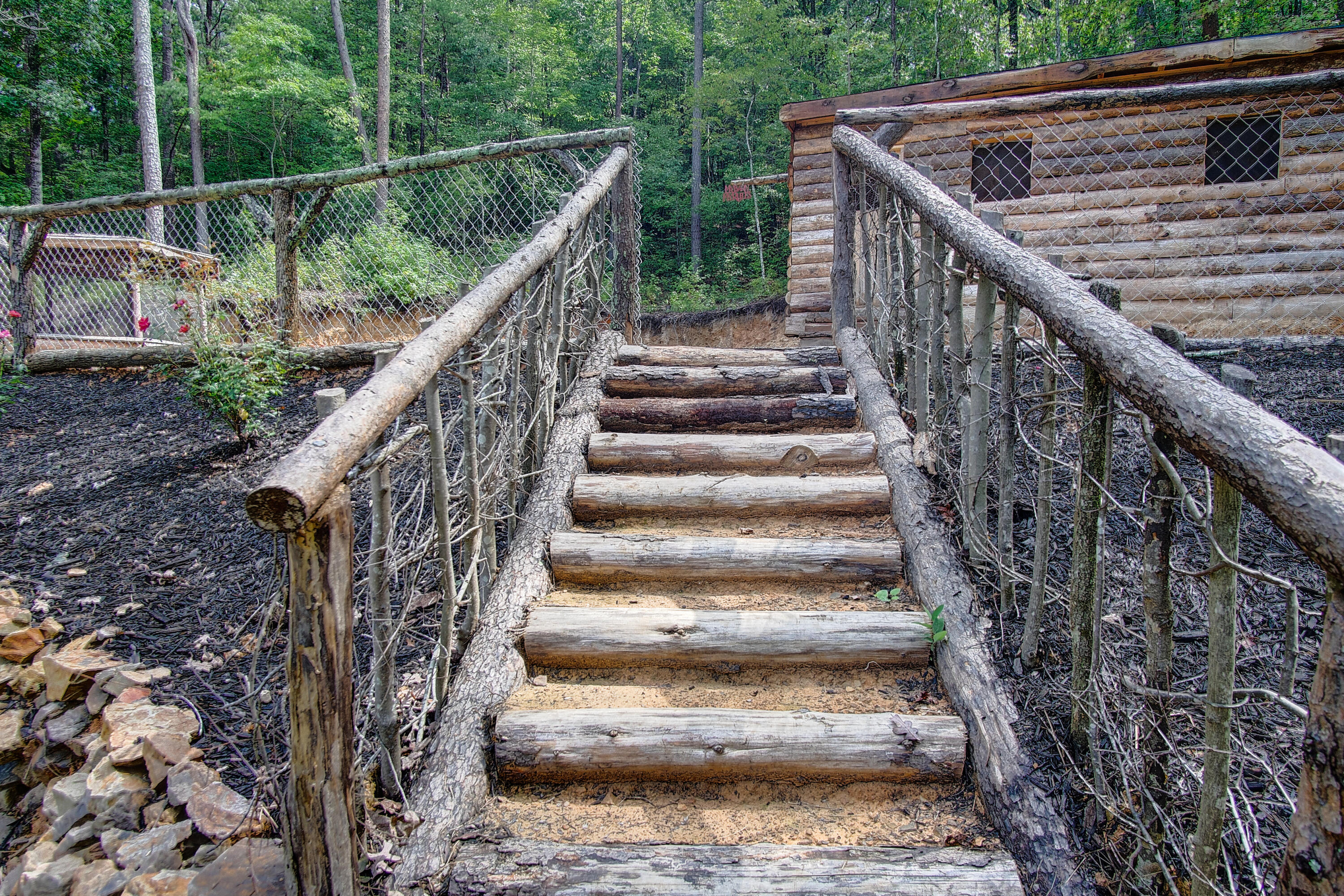 4563 Manning Mill Road Summerville, GA 30747 - Photo 31 of 82 DSC062251