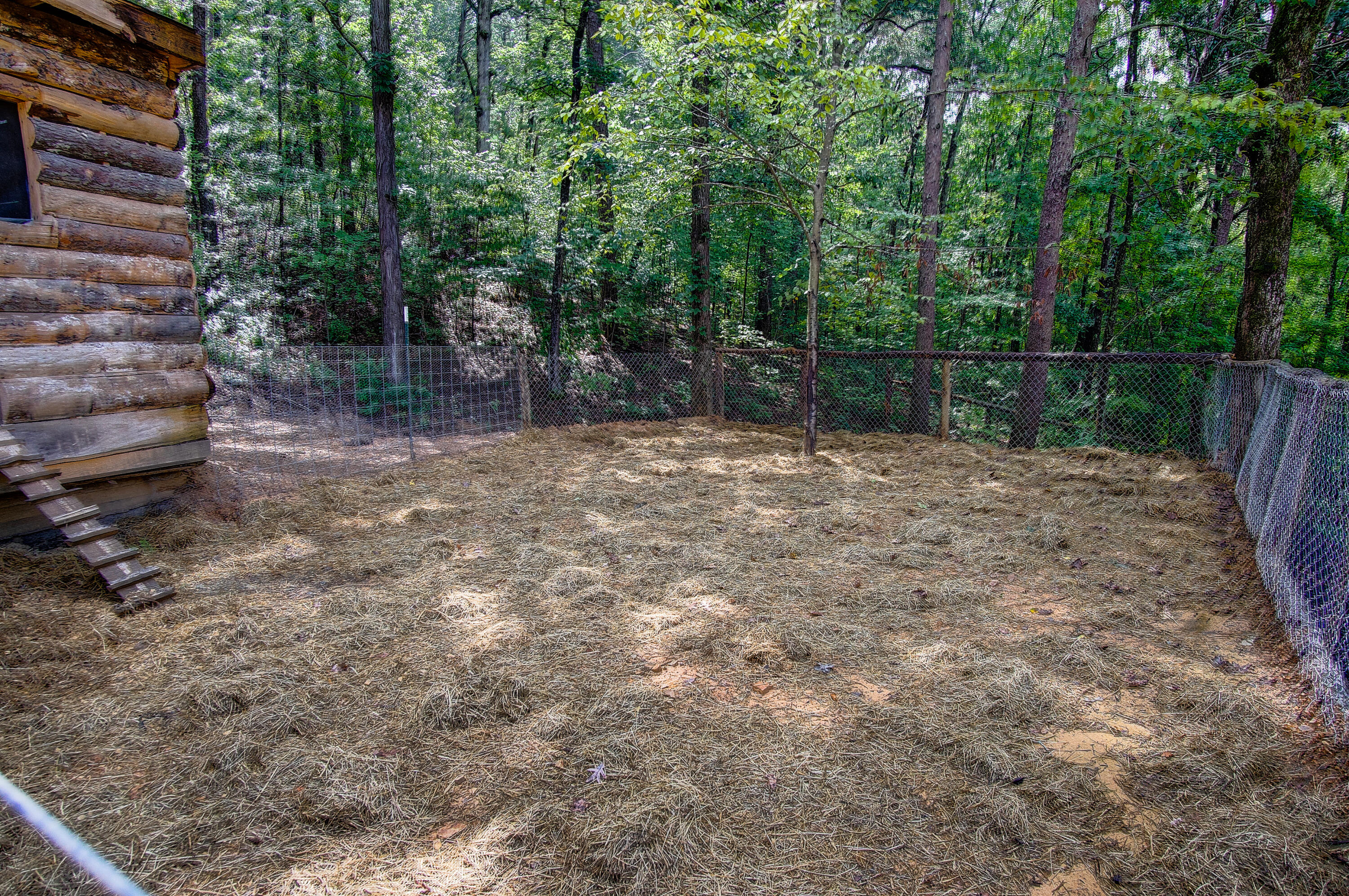 4563 Manning Mill Road Summerville, GA 30747 - Photo 33 of 82 DSC062311