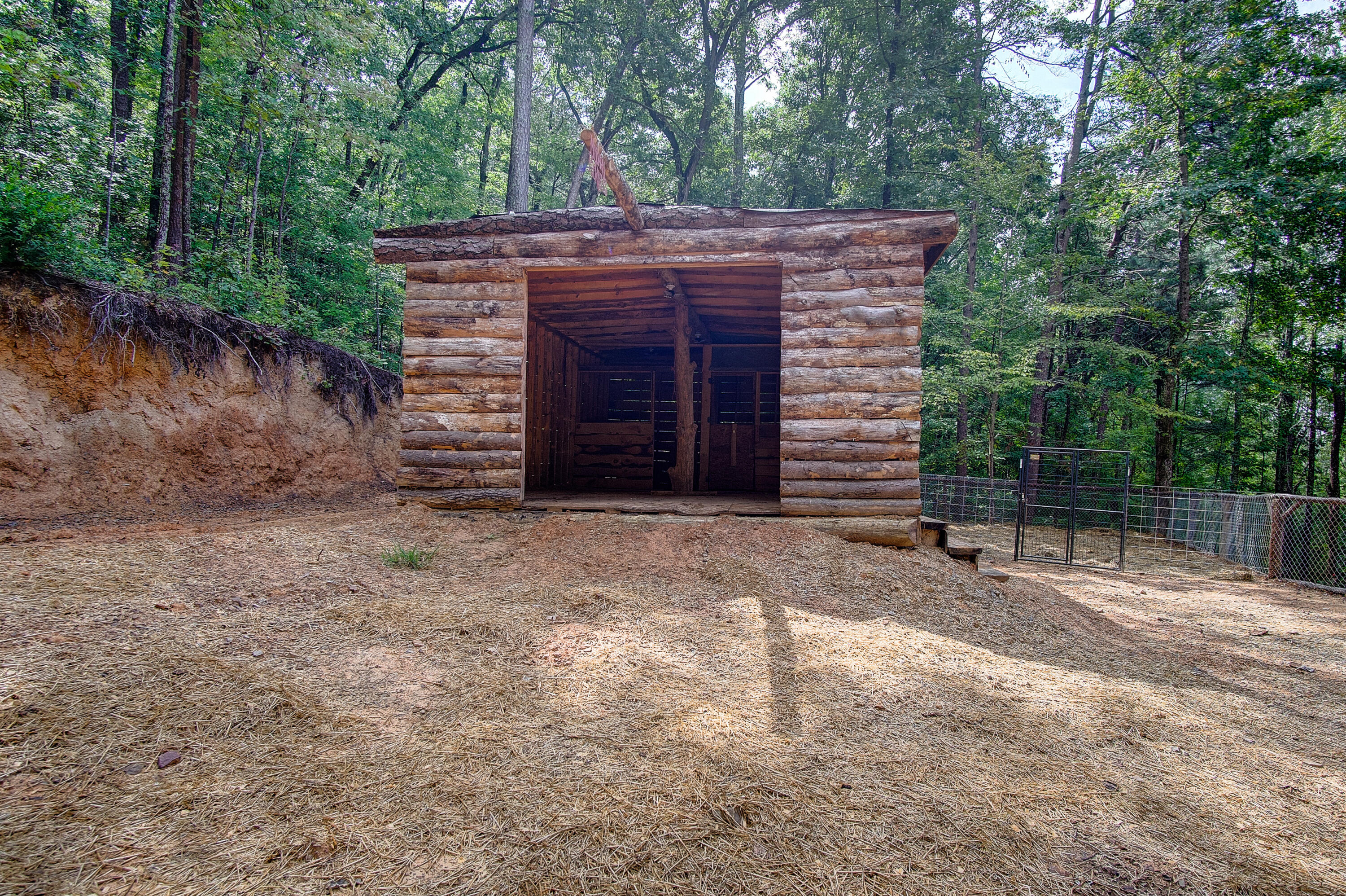 4563 Manning Mill Road Summerville, GA 30747 - Photo 34 of 82 DSC062341