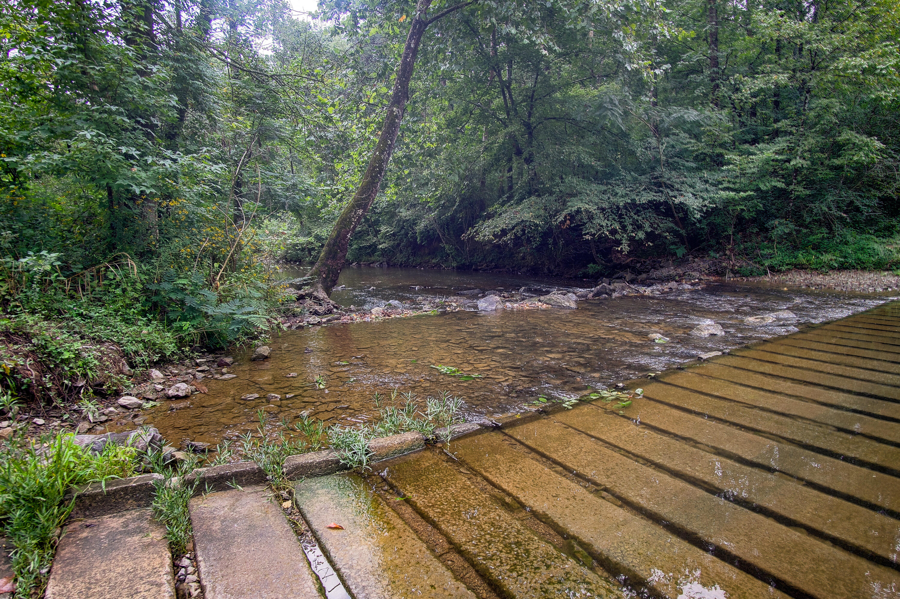 4563 Manning Mill Road Summerville, GA 30747 - Photo 44 of 82 DSC060931