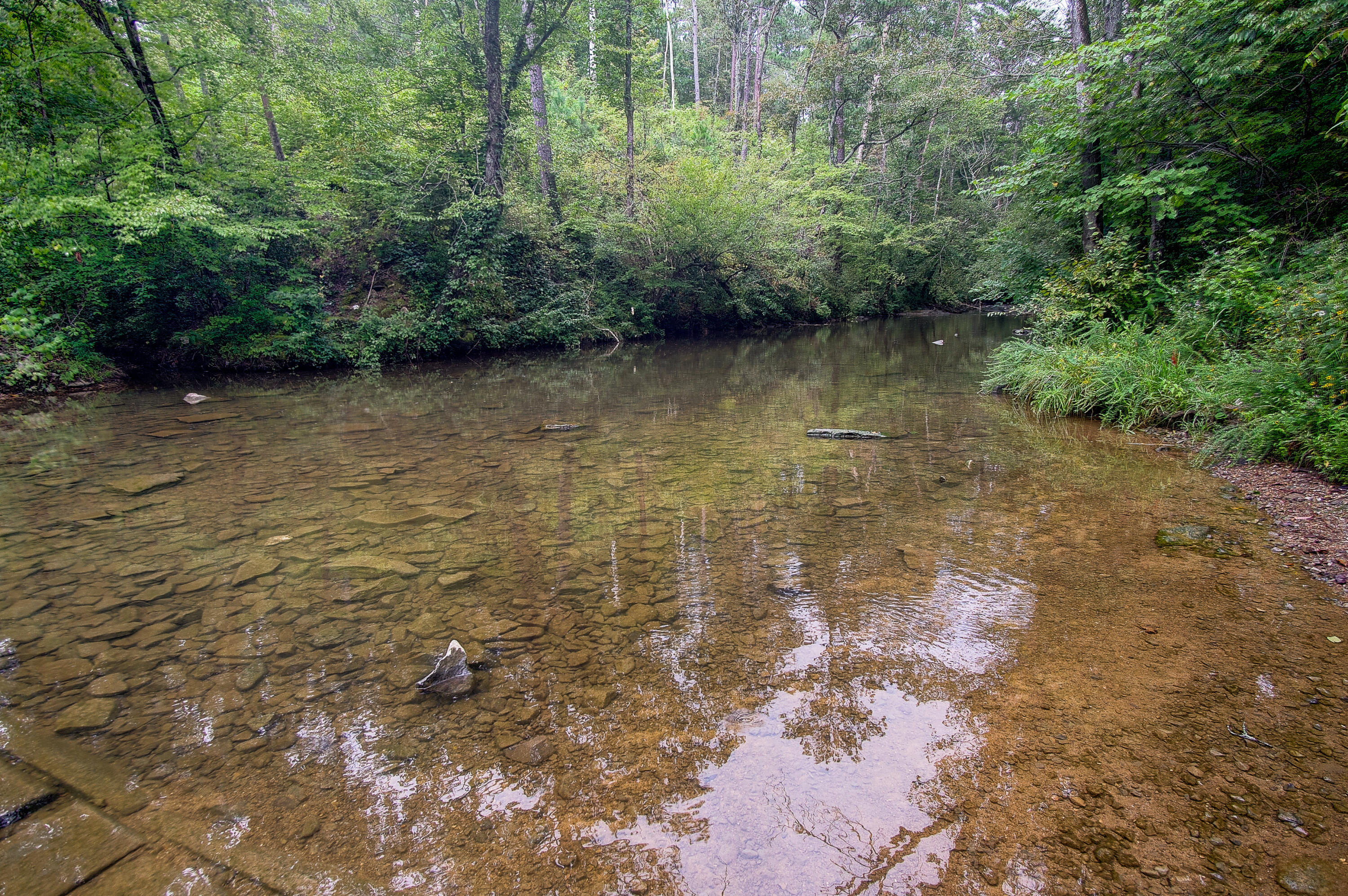 4563 Manning Mill Road Summerville, GA 30747 - Photo 45 of 82 DSC060961