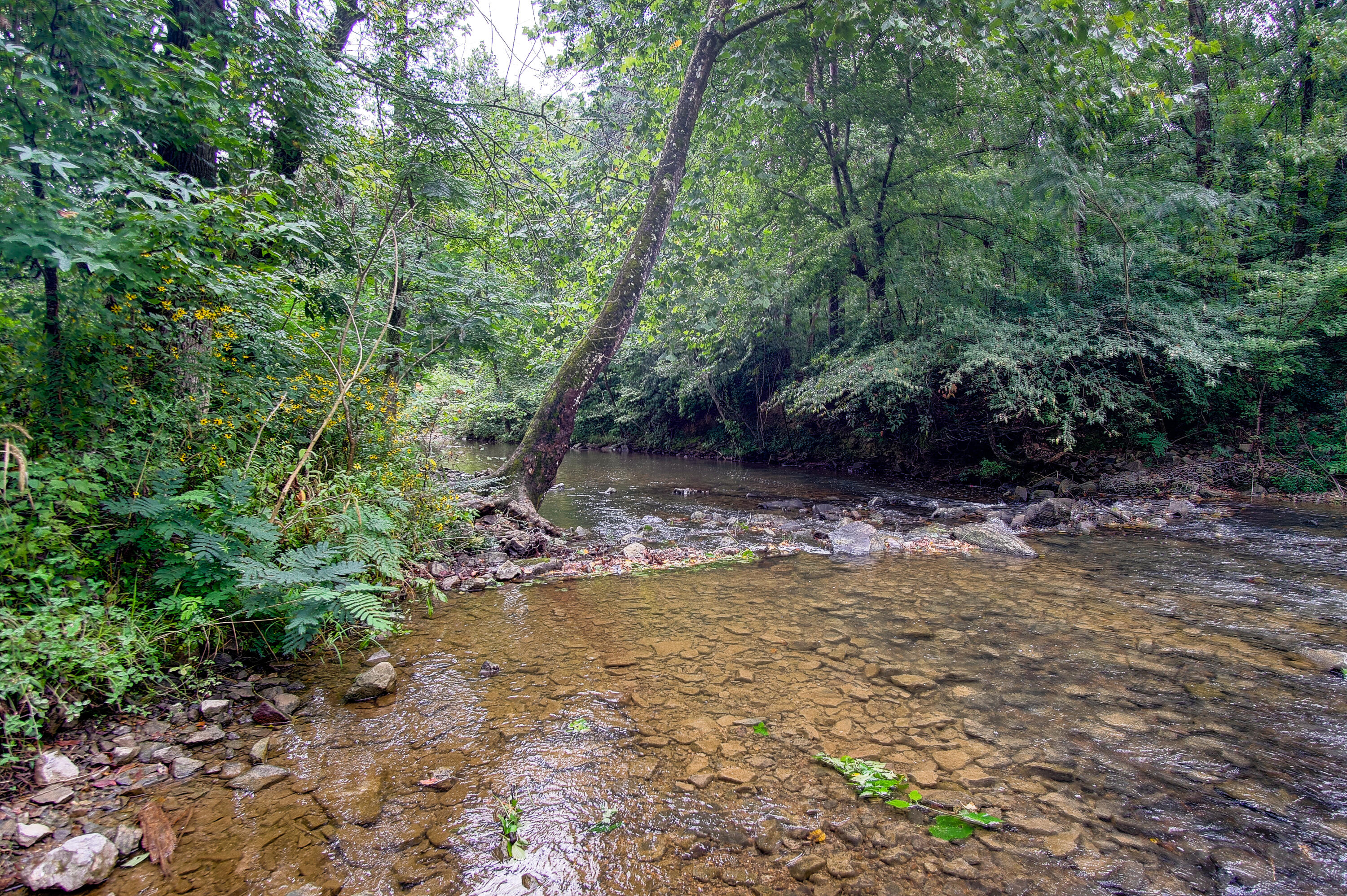 4563 Manning Mill Road Summerville, GA 30747 - Photo 46 of 82 DSC060991