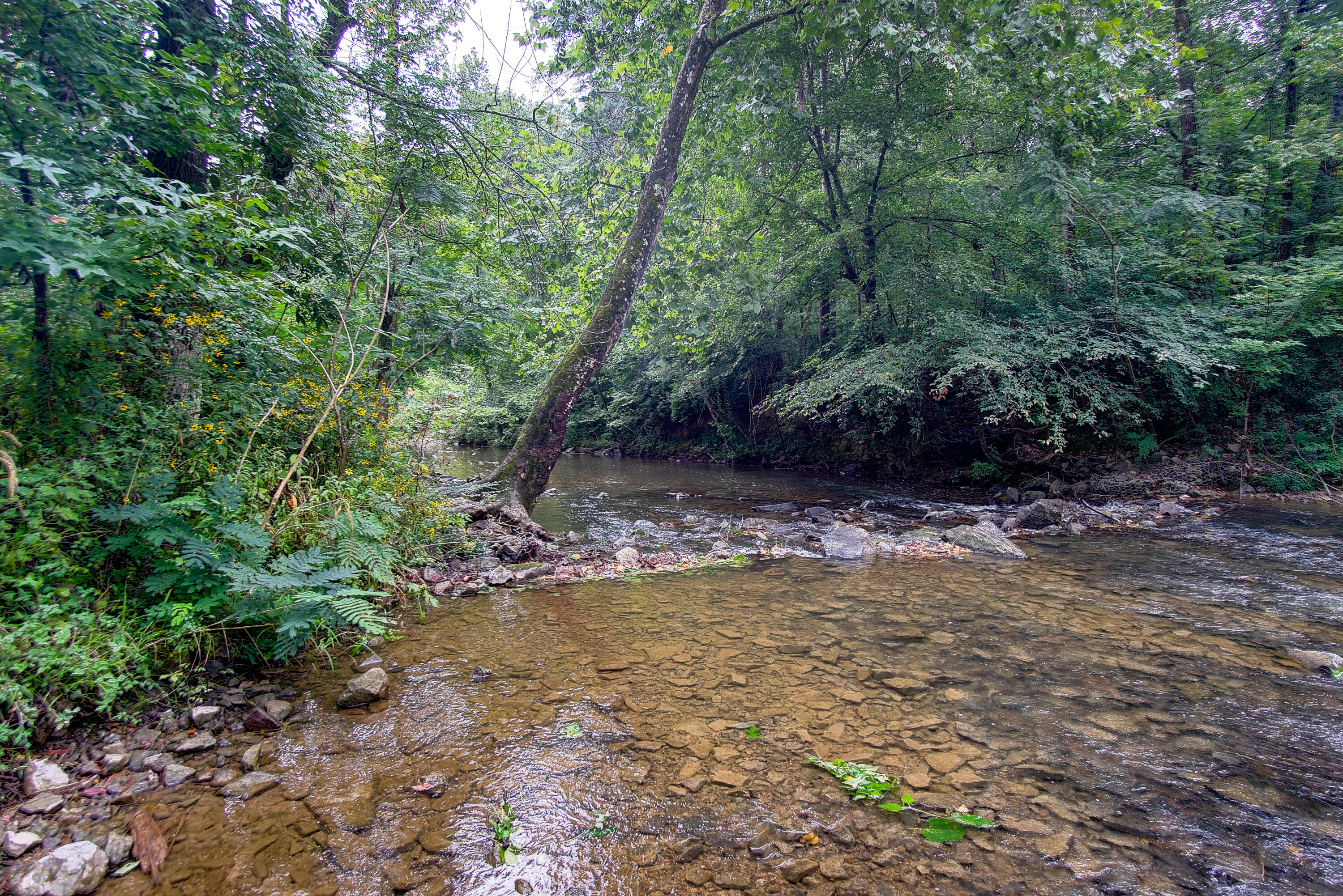 4563 Manning Mill Road Summerville, GA 30747 - Photo 47 of 82 DSC061021