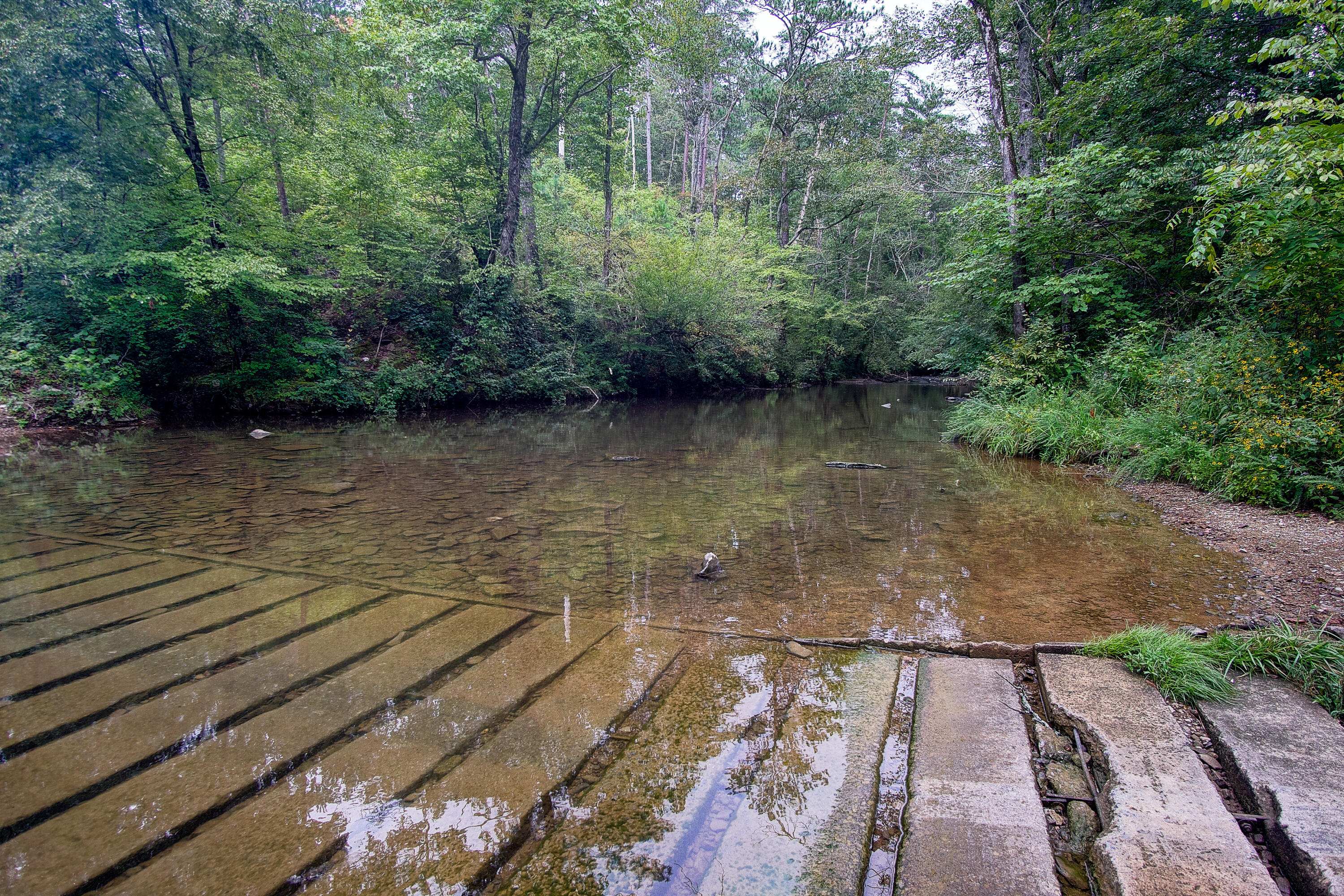 4563 Manning Mill Road Summerville, GA 30747 - Photo 48 of 82 DSC061051