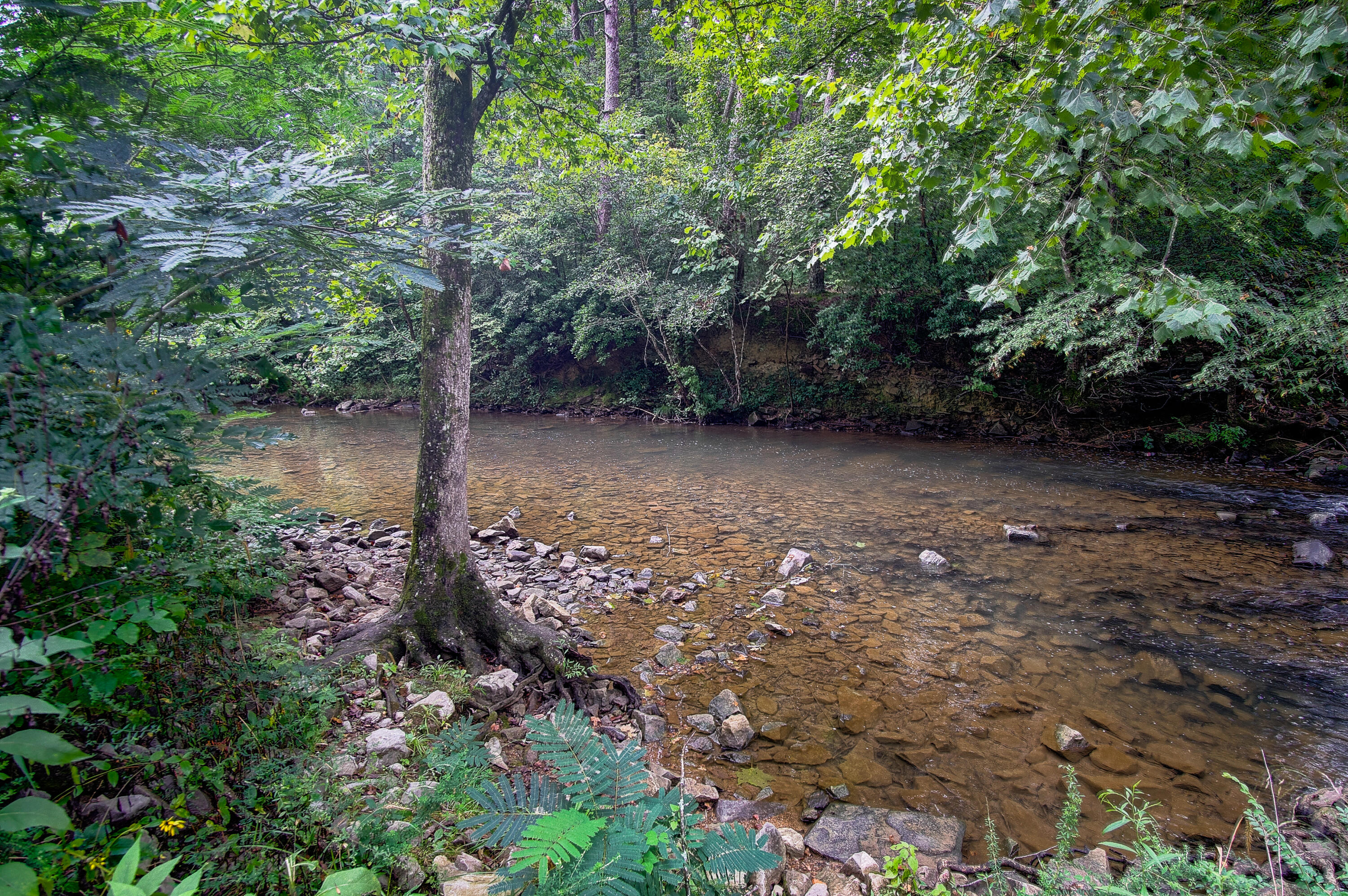 4563 Manning Mill Road Summerville, GA 30747 - Photo 49 of 82 DSC061081