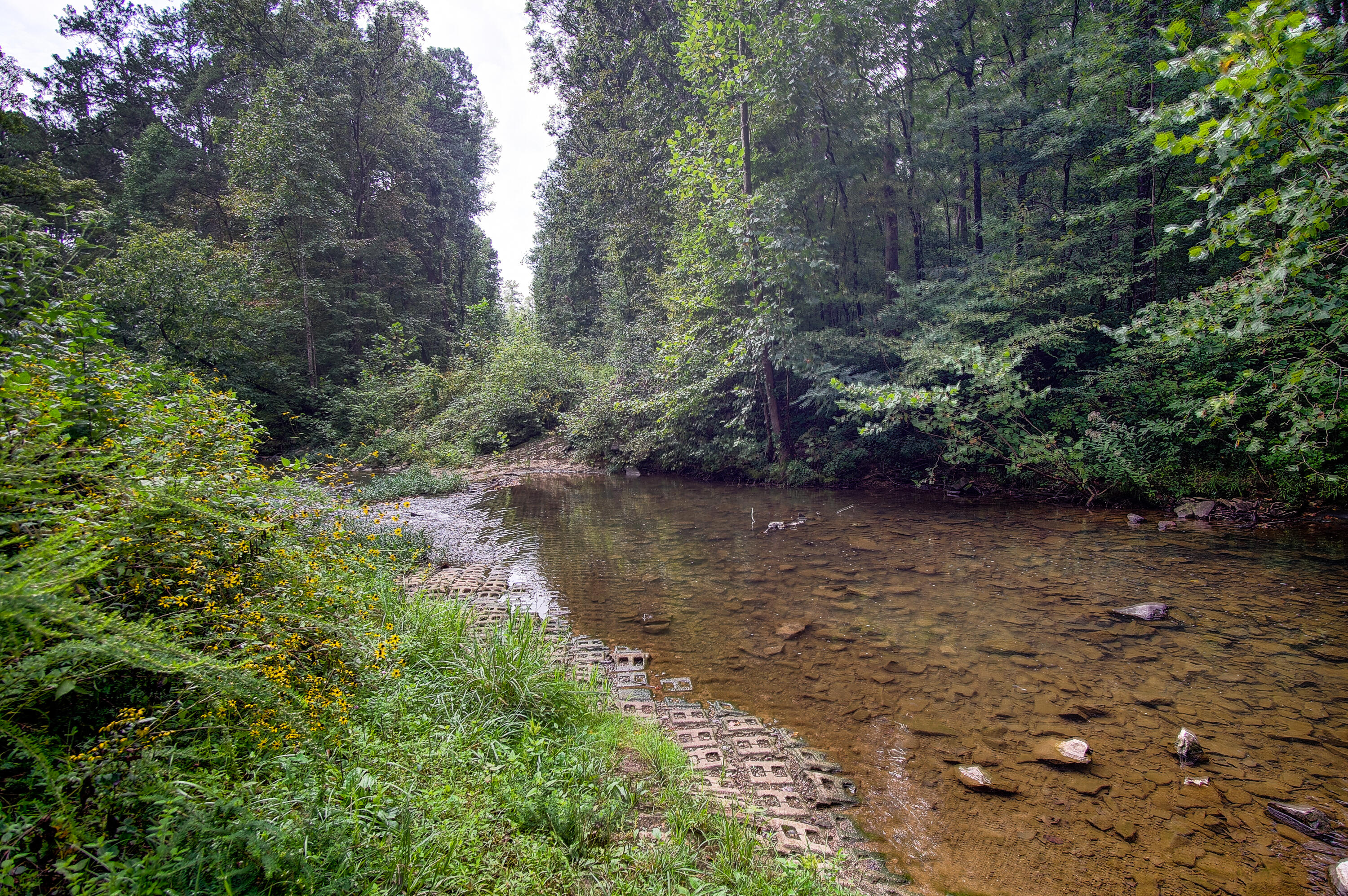 4563 Manning Mill Road Summerville, GA 30747 - Photo 50 of 82 DSC061111