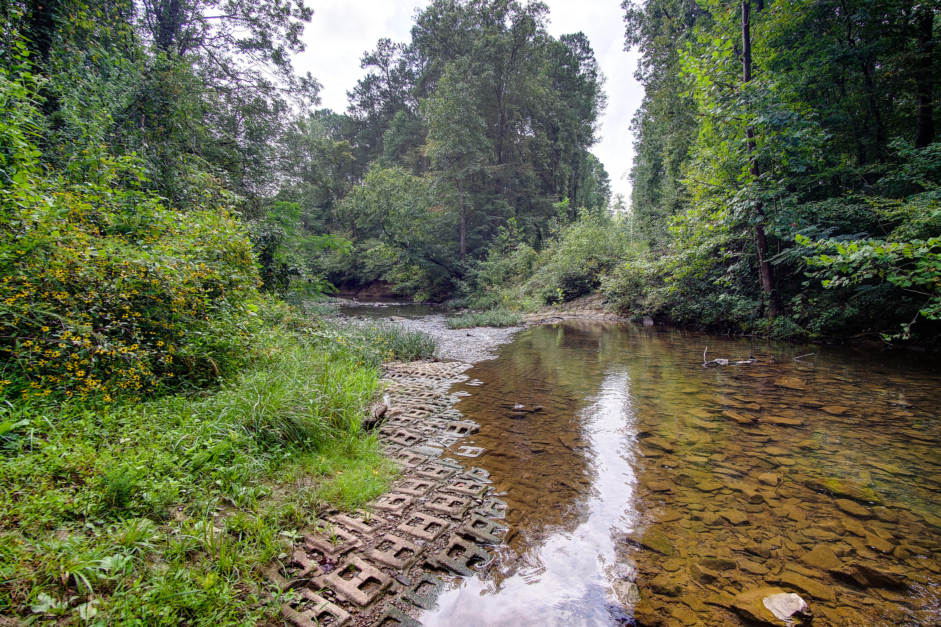4563 Manning Mill Road Summerville, GA 30747 - Photo 51 of 82 DSC061141