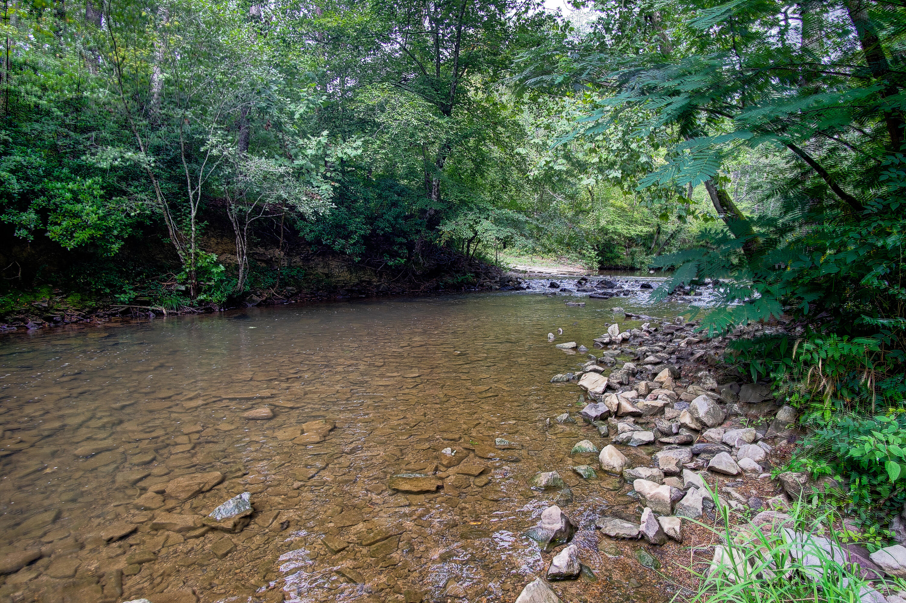 4563 Manning Mill Road Summerville, GA 30747 - Photo 52 of 82 DSC061171
