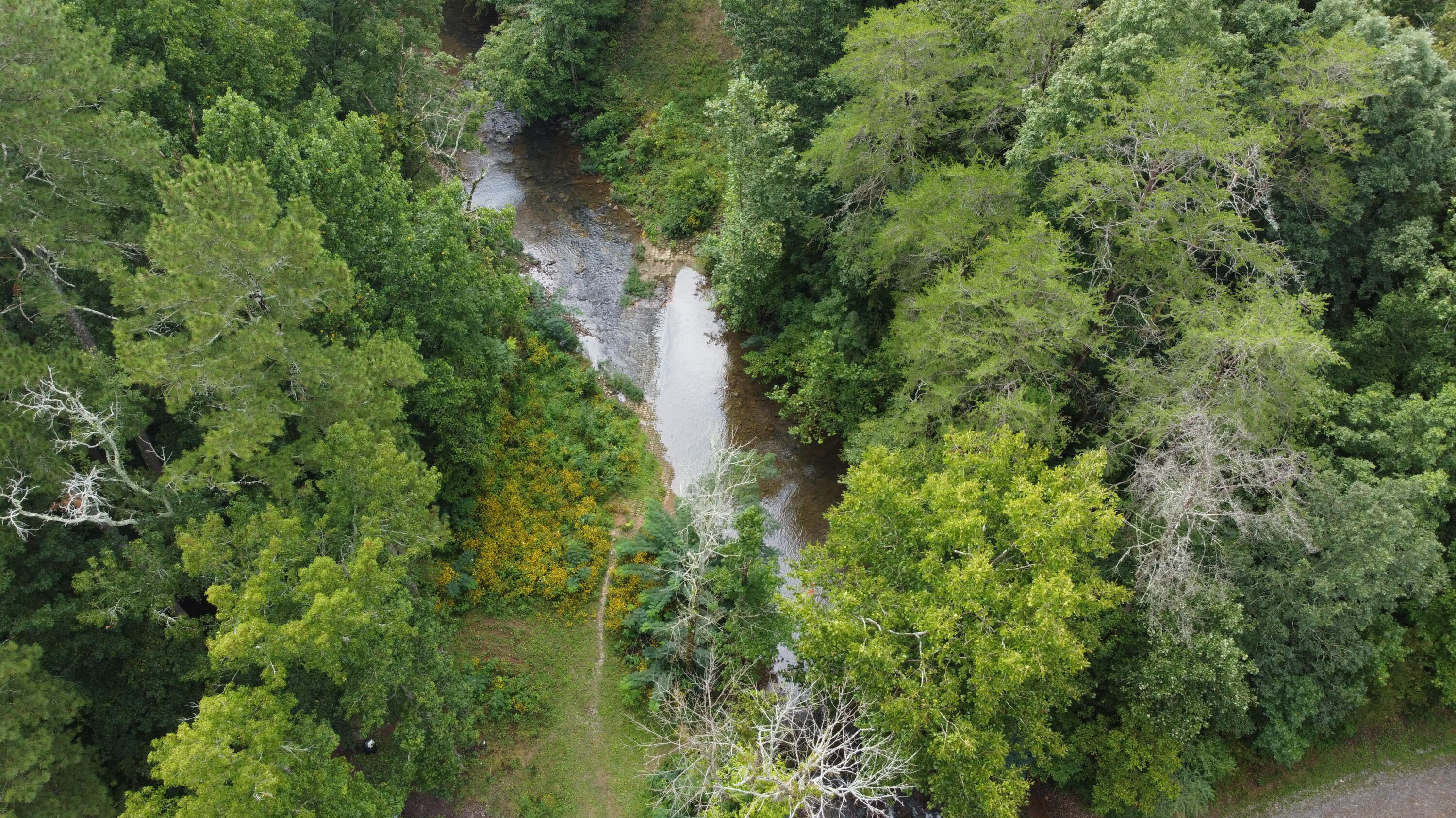 4563 Manning Mill Road Summerville, GA 30747 - Photo 55 of 82 DJI_0424