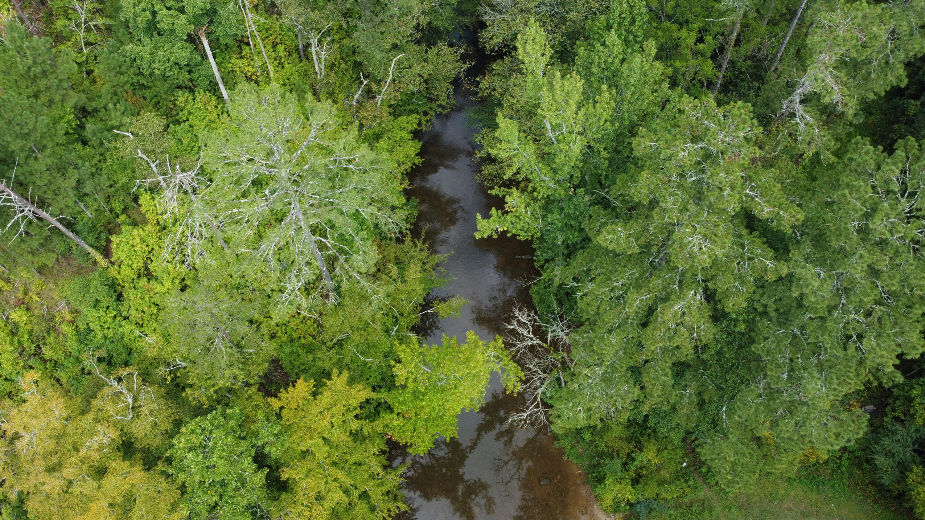 4563 Manning Mill Road Summerville, GA 30747 - Photo 56 of 82 DJI_0425