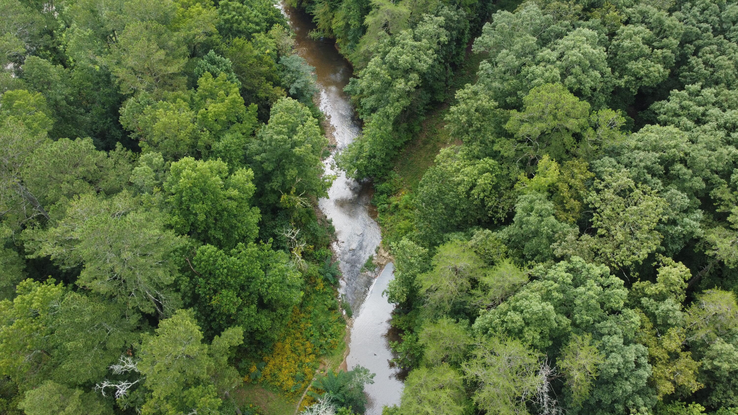 4563 Manning Mill Road Summerville, GA 30747 - Photo 57 of 82 DJI_0426