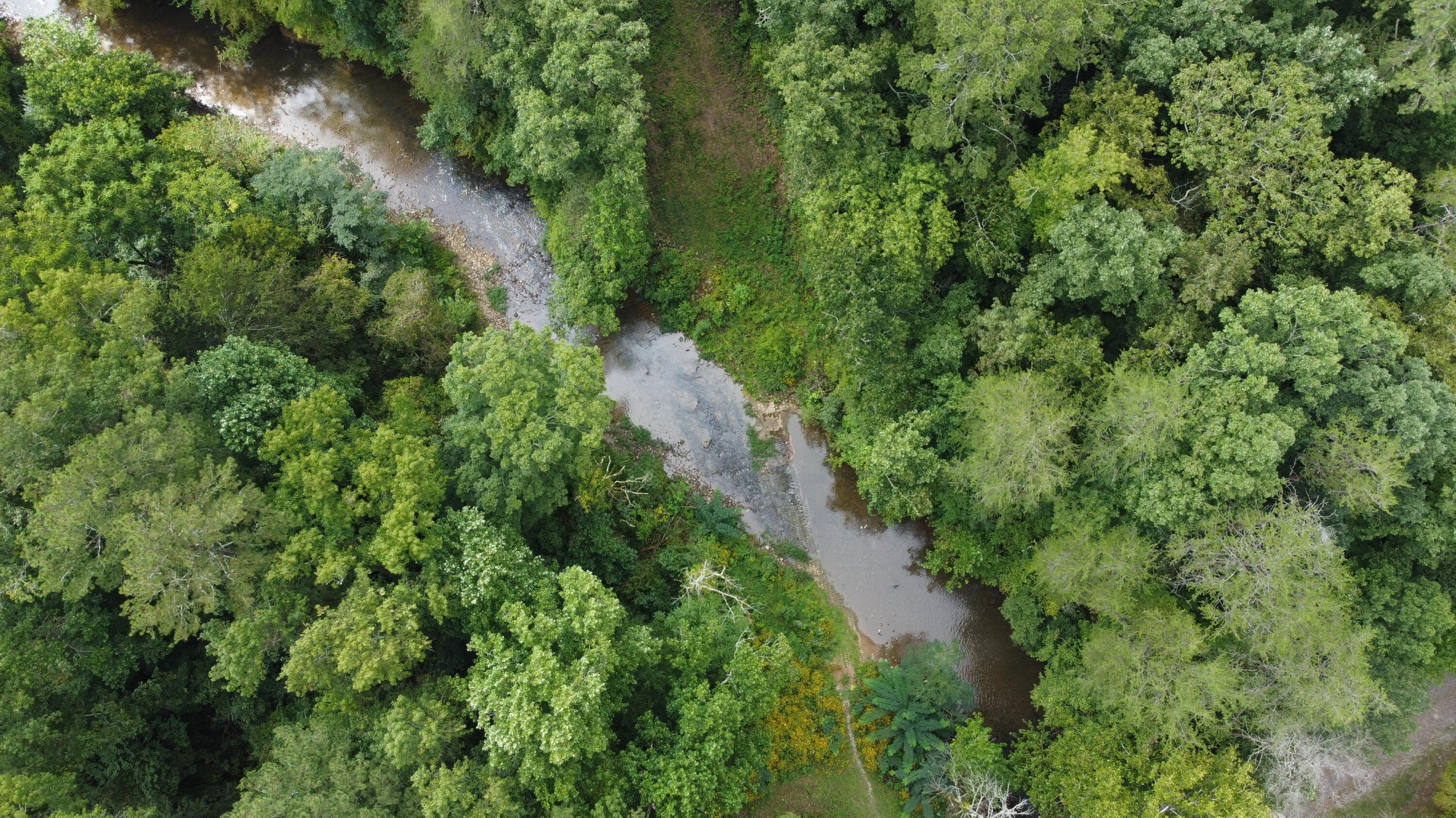 4563 Manning Mill Road Summerville, GA 30747 - Photo 58 of 82 DJI_0427