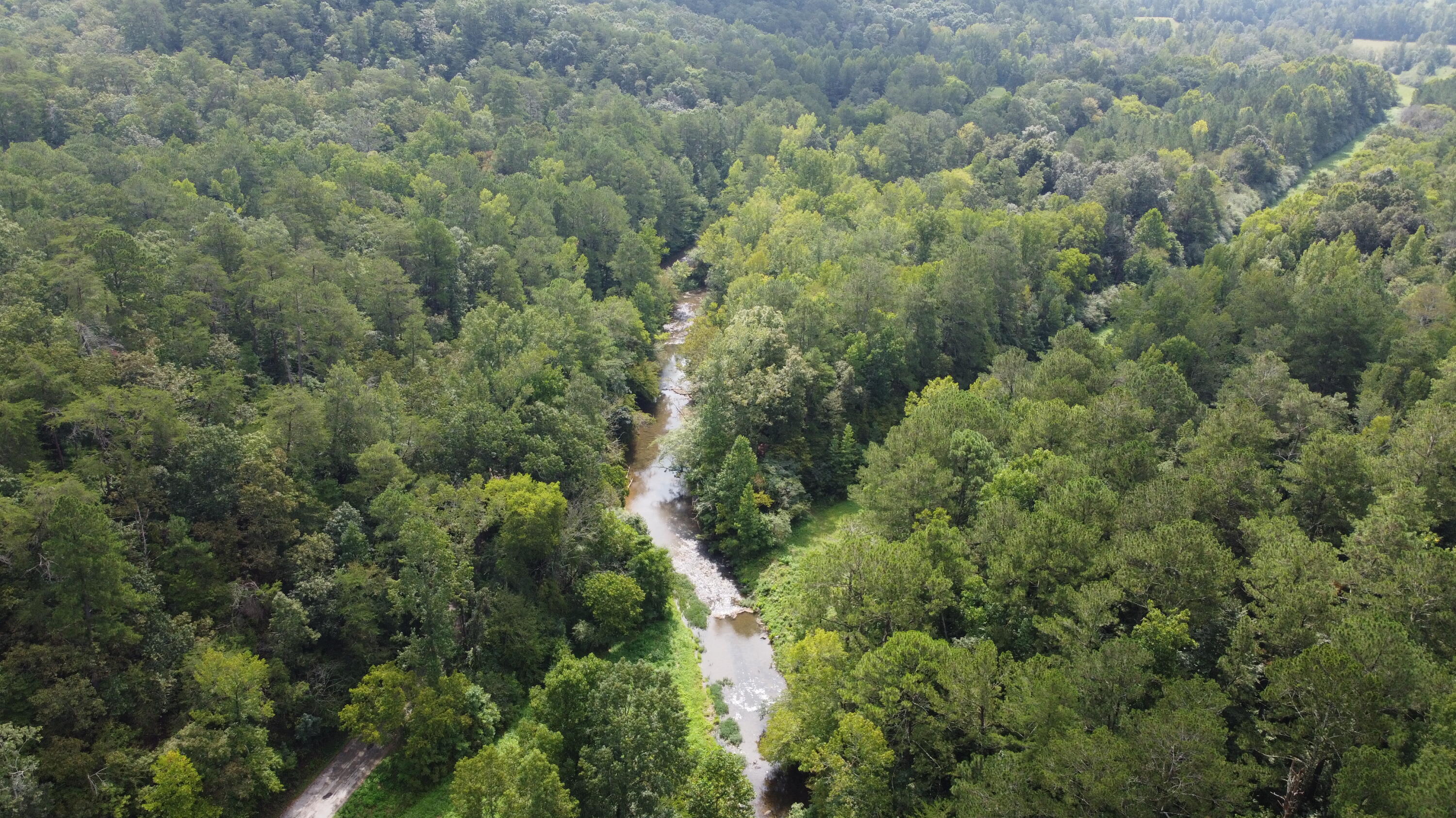 4563 Manning Mill Road Summerville, GA 30747 - Photo 59 of 82 DJI_0428