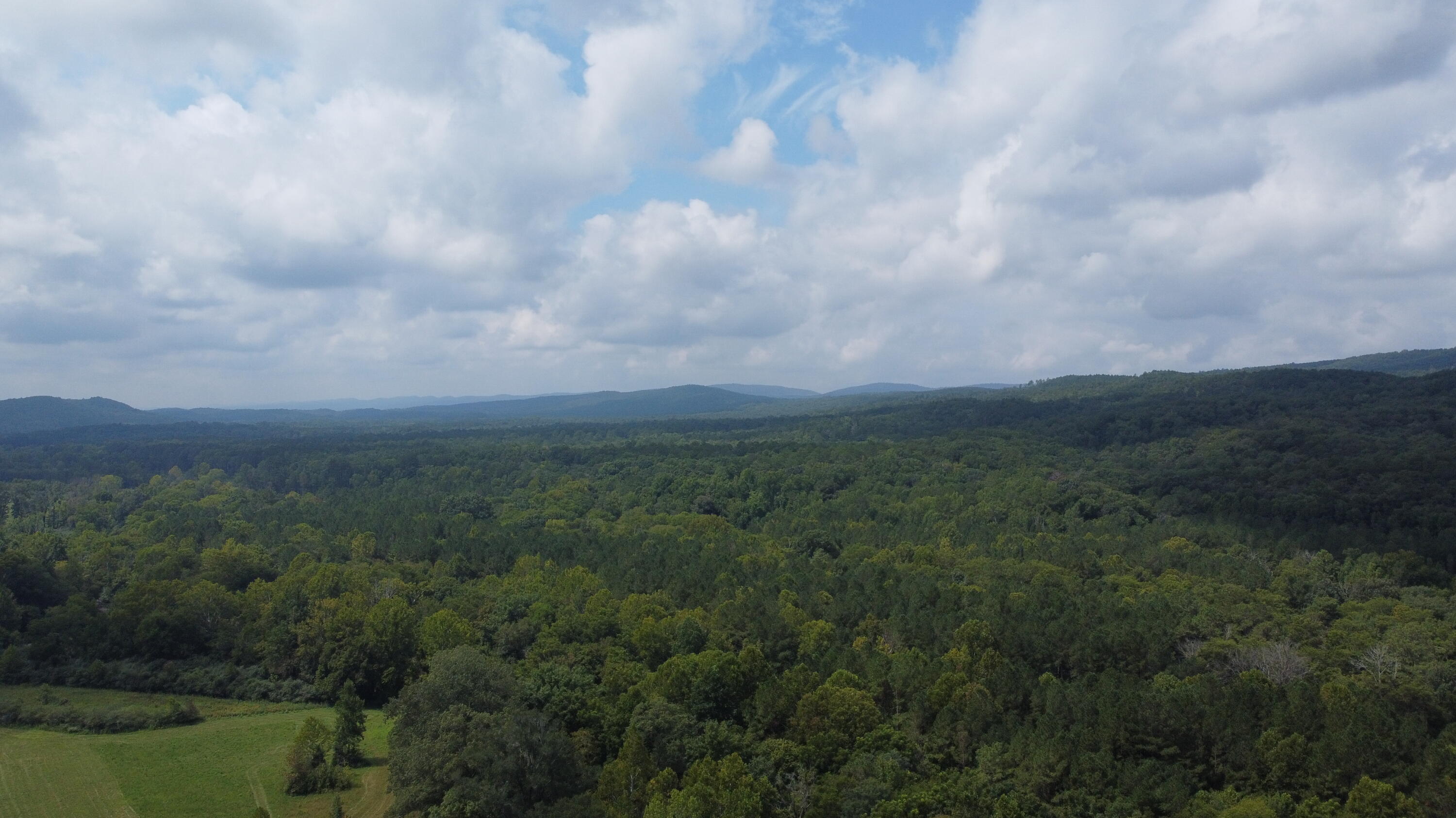 4563 Manning Mill Road Summerville, GA 30747 - Photo 69 of 82 DJI_0438