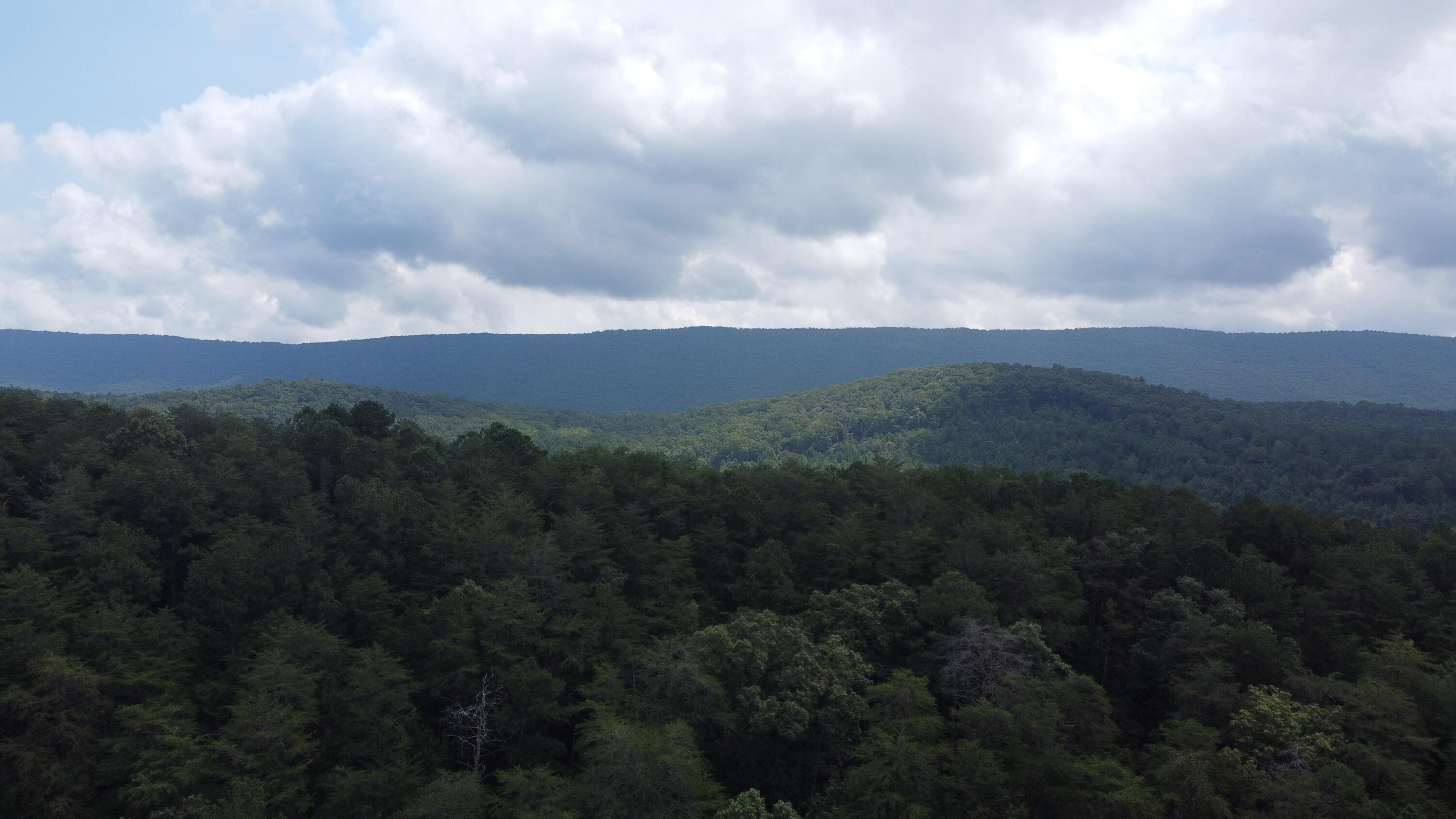 4563 Manning Mill Road Summerville, GA 30747 - Photo 71 of 82 DJI_0440