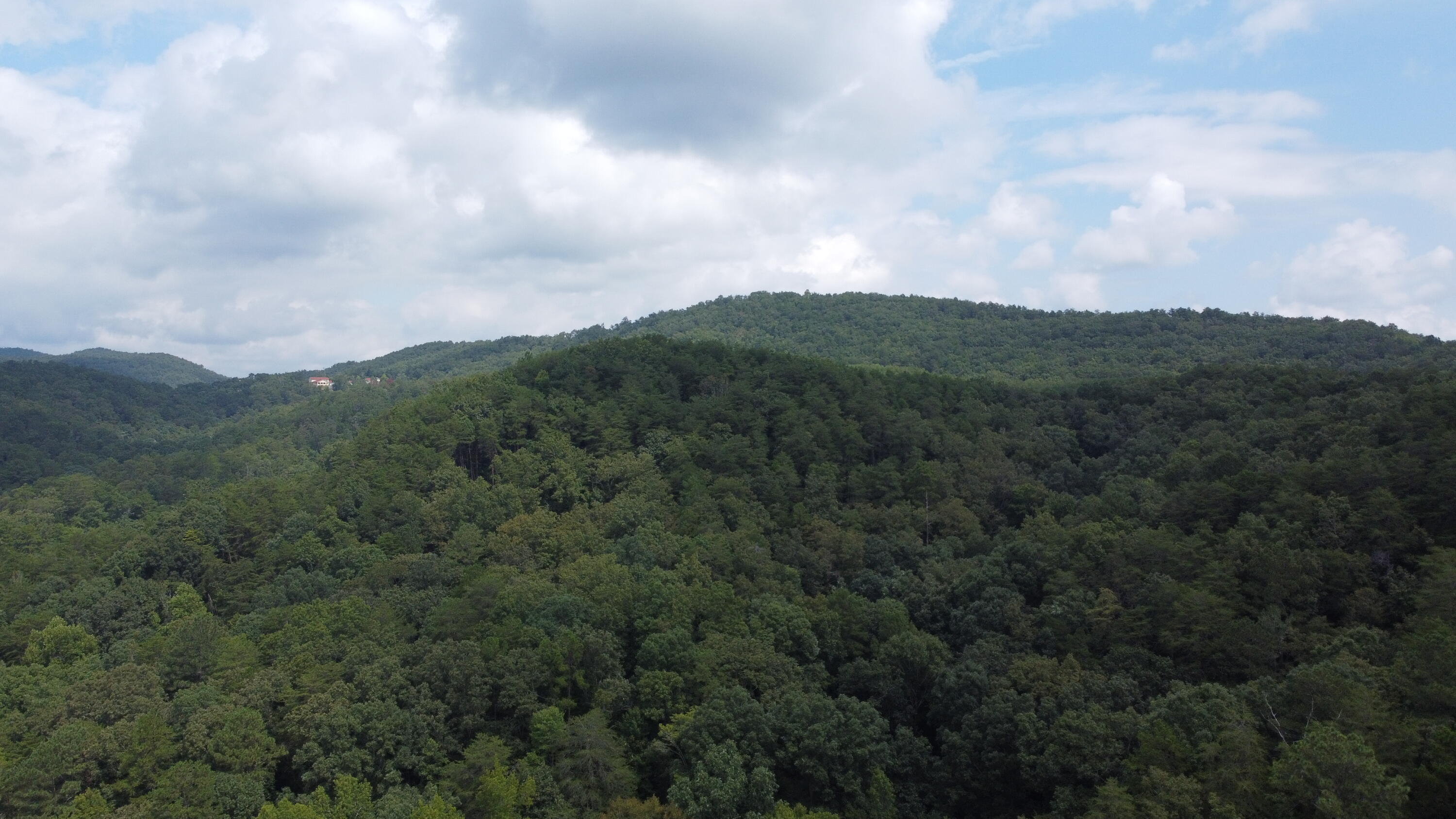 4563 Manning Mill Road Summerville, GA 30747 - Photo 72 of 82 DJI_0441