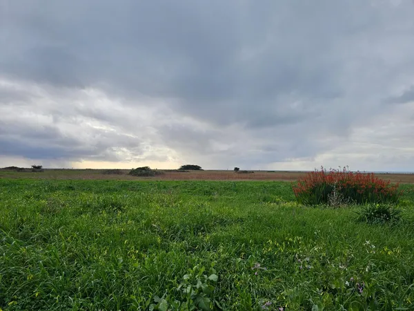 a view of a field and mountains in the background