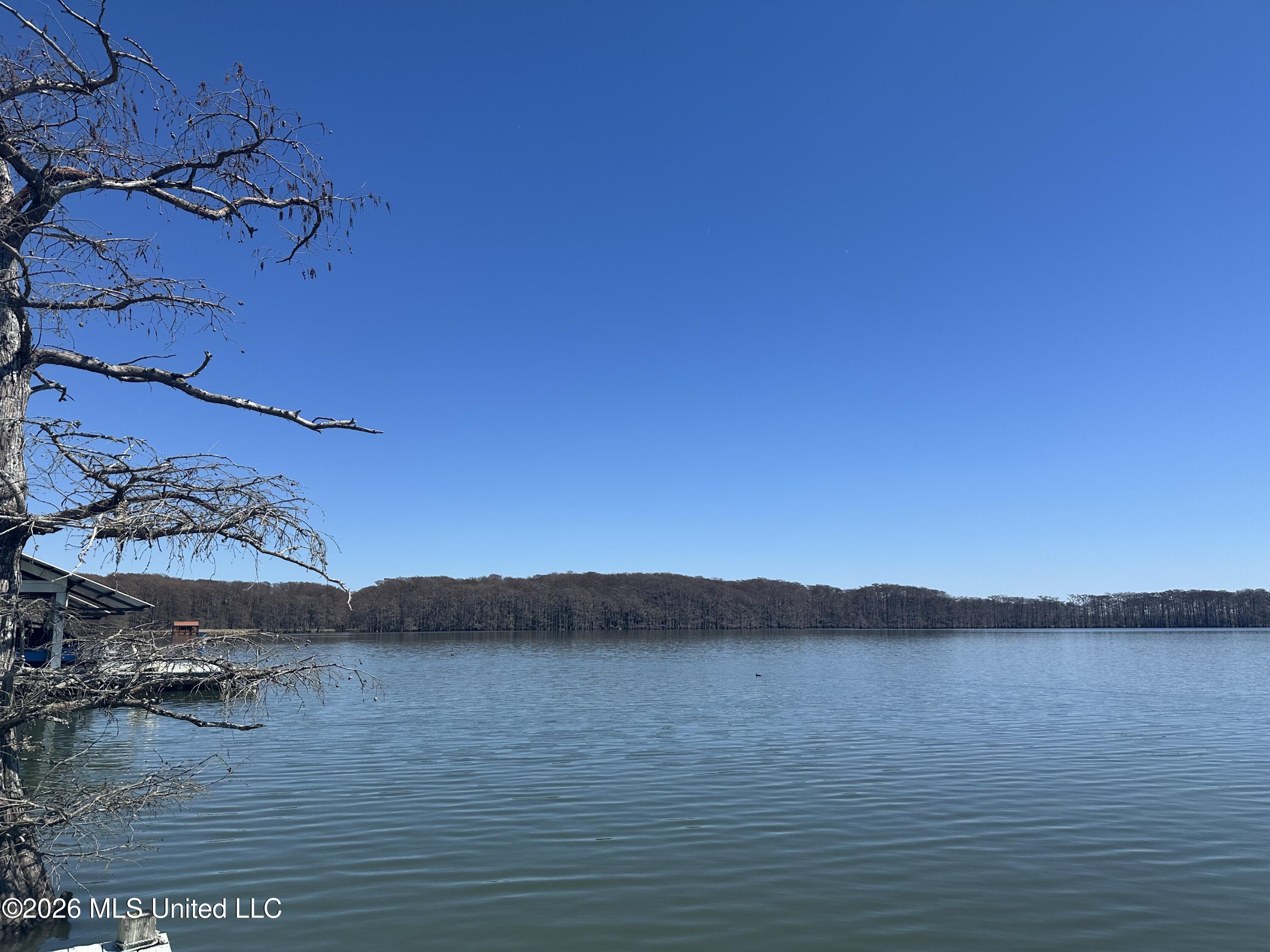 6631 State Rte 568 Ferriday, LA 71334 - Photo 9 of 46 IMG_3914