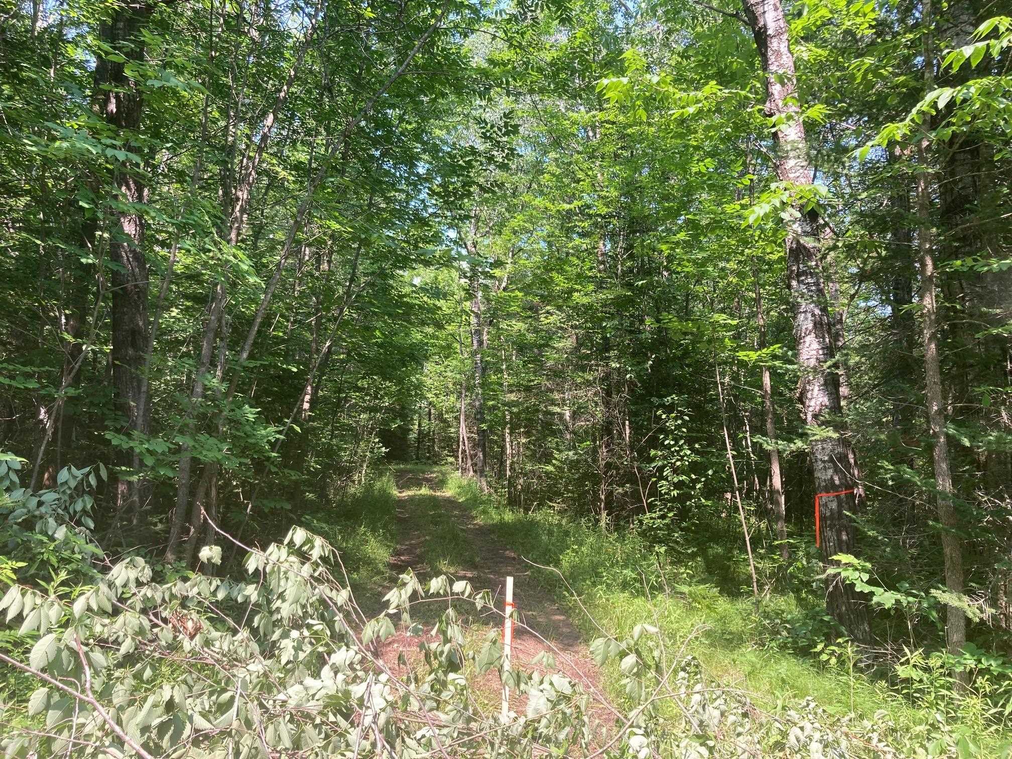 Right Of Way Road Crivitz, WI 54114 - Photo 1 of 1 Gallery Image 1