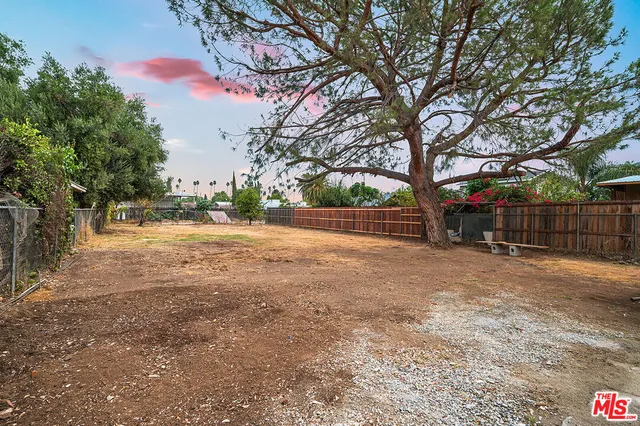 a view of backyard and tree