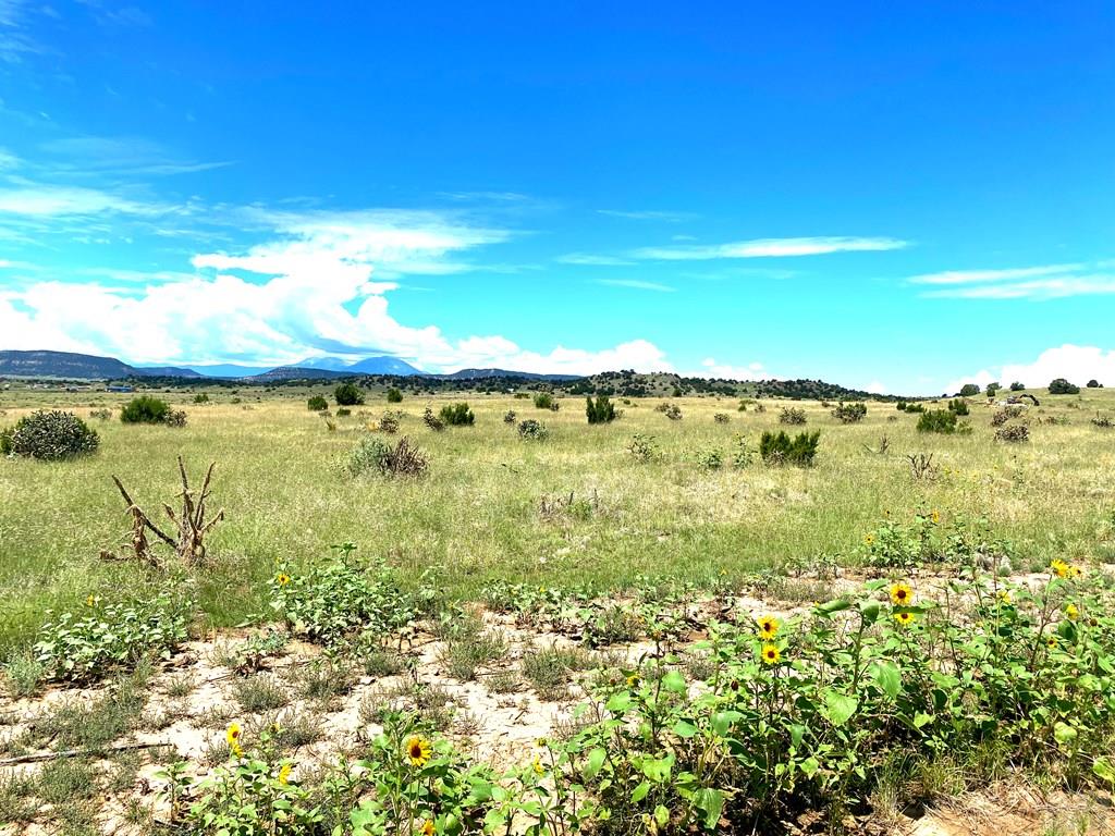 23906 Adams Road Trinidad, CO 81082 - Photo 9 of 15 Gallery Image 9