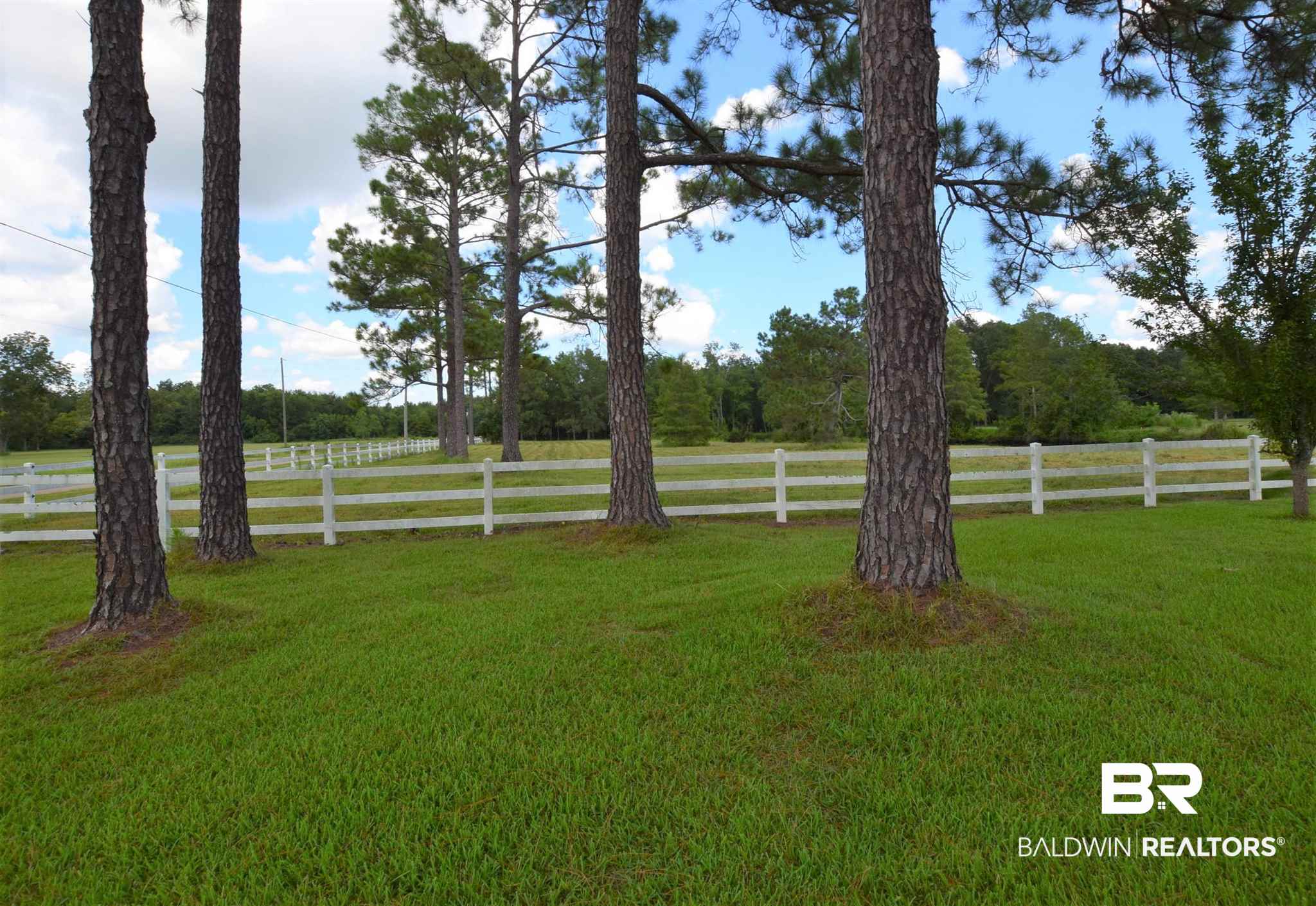 10795 Ramsey Road Grand Bay, AL 36541 - Photo 3 of 50