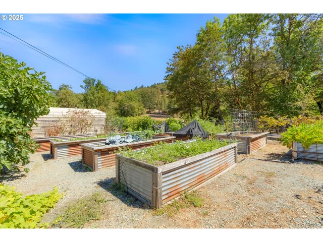 a view of a yard with large trees