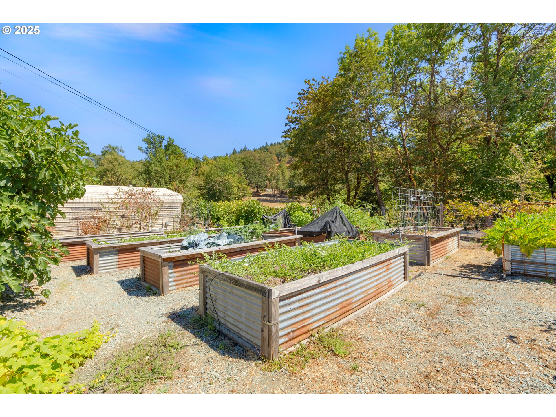 187 Hackett Lane Riddle, OR 97469 - Photo 36 of 48 a view of a terrace with couches and potted plants