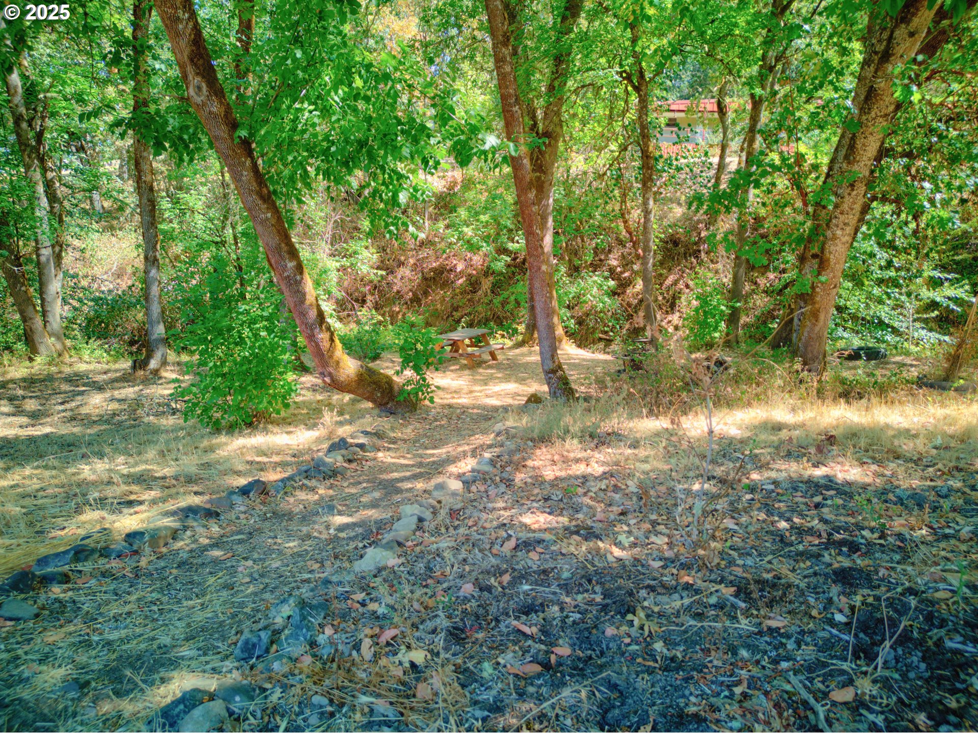187 Hackett Lane Riddle, OR 97469 - Photo 39 of 48 a view of a yard with large trees