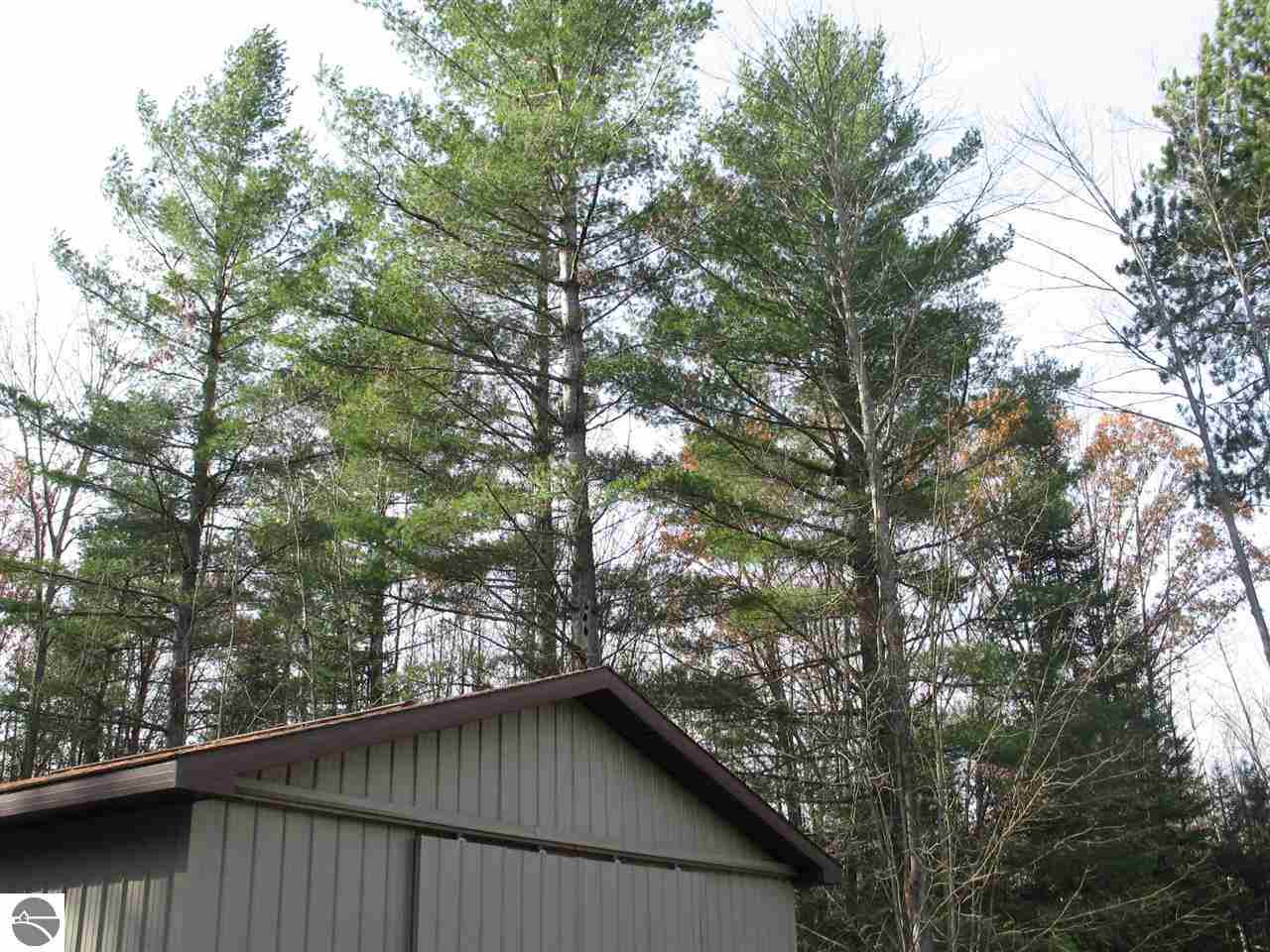 5780 Laird Lake Road Hale, MI 48739 - Photo 4 of 12
