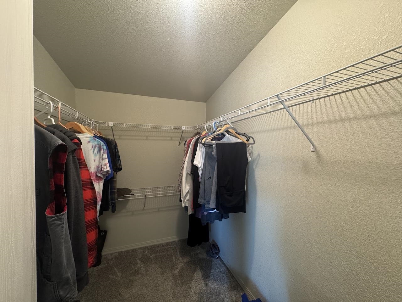 352 Wofford Road, Unit 4 Bishop, CA 93514 - Photo 19 of 40 Walk in closet with dark colored carpet