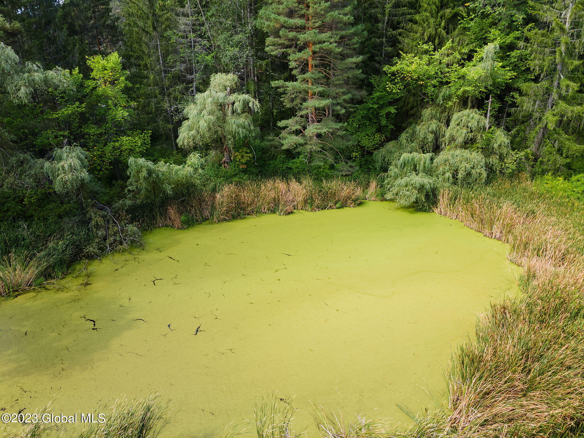 116 Heron Road Cobleskill, NY 12043 - Photo 60 of 64 56-web-or-mls-116HeronRd_56