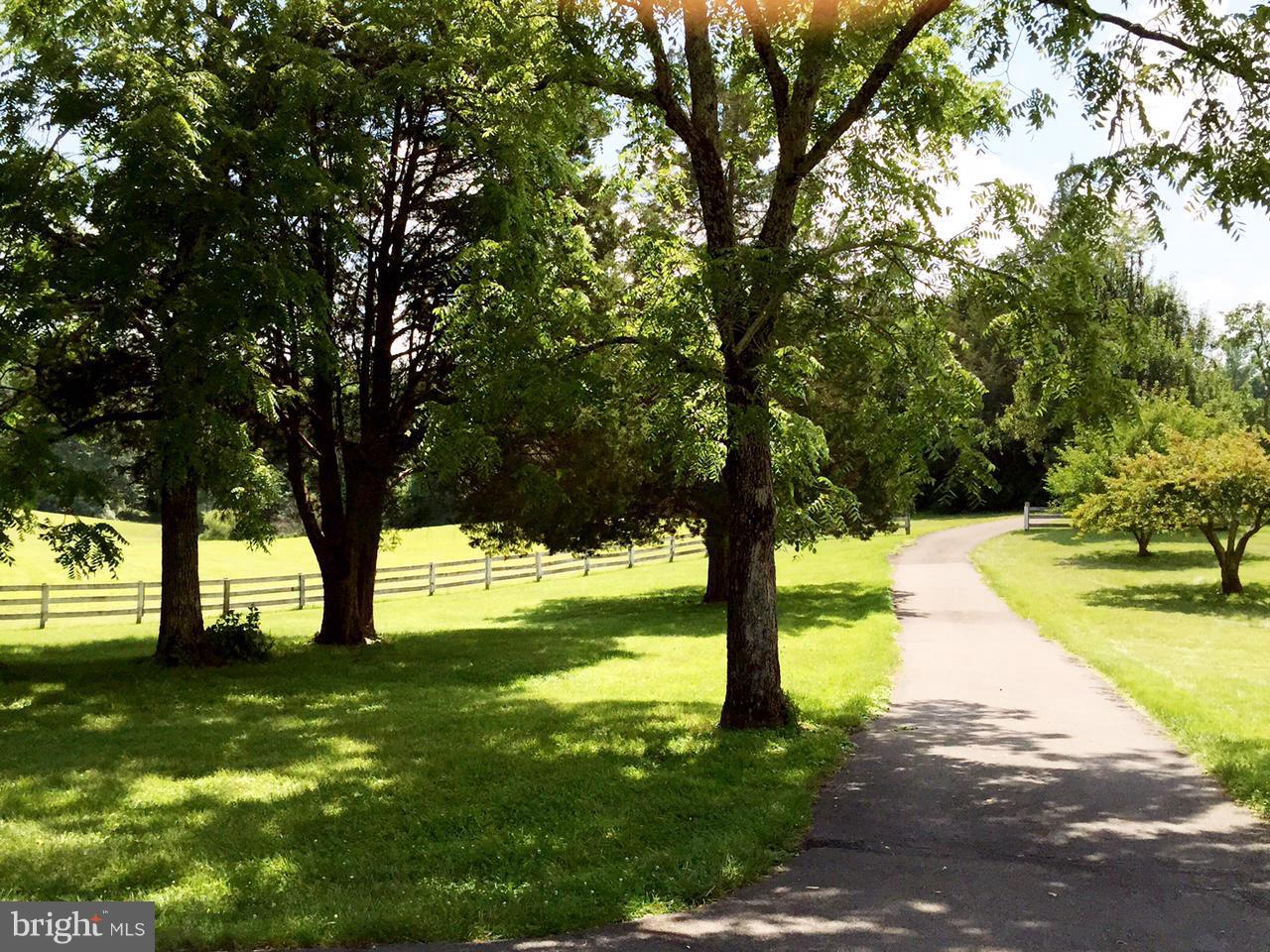 5407 Sumerduck Road Sumerduck, VA 22742 - Photo 13 of 30 a view of an trees with a yard