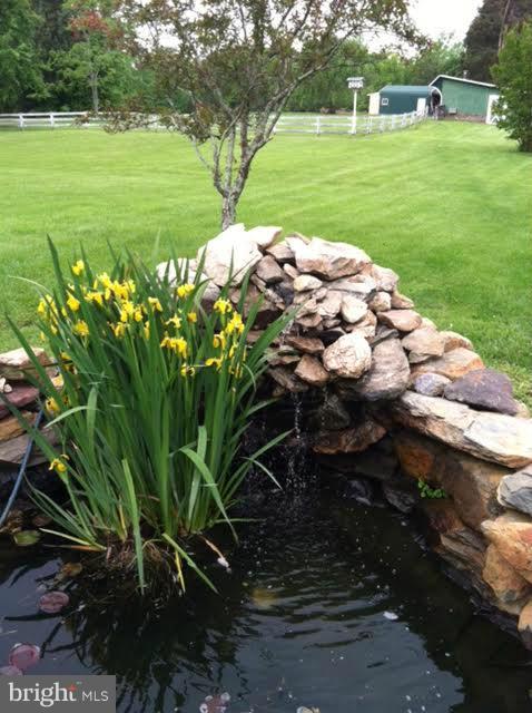 5407 Sumerduck Road Sumerduck, VA 22742 - Photo 15 of 30 a view of a garden with an outdoor space