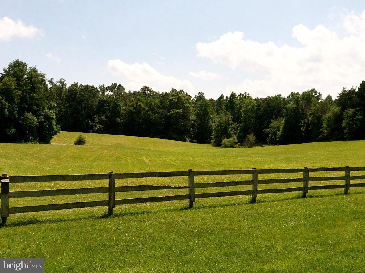 5407 Sumerduck Road Sumerduck, VA 22742 - Photo 8 of 30 a view of a field with grass and a big yard
