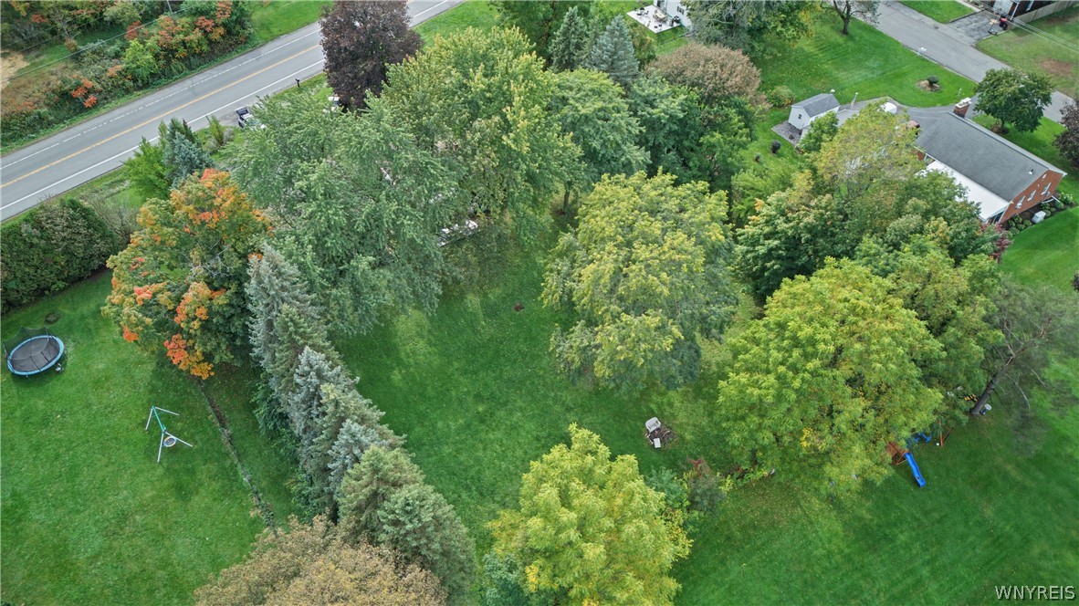 8435 Rochester Road Royalton, NY 14067 - Photo 20 of 27 Mature trees surround this grassy backyard bordere