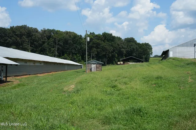 $1,495,000 | 112 Old Highway 13, Lena, MS 39094