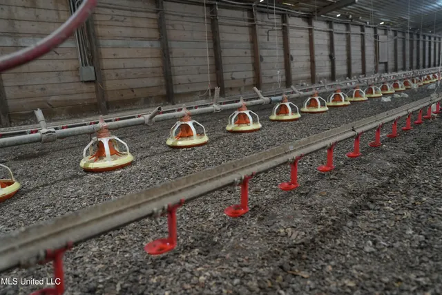 $1,495,000 | 112 Old Highway 13, Lena, MS 39094