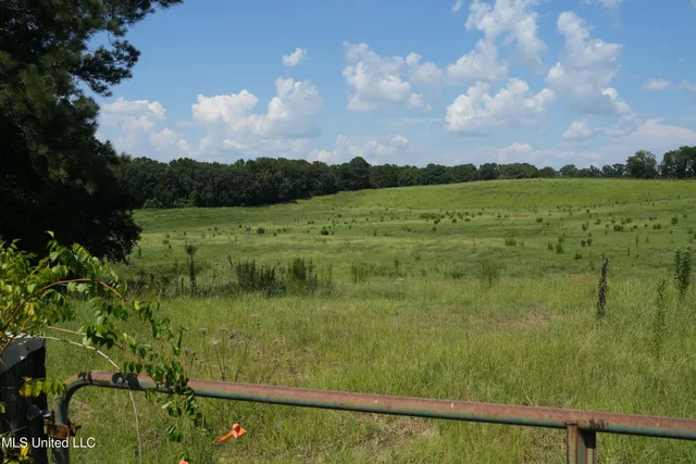 $1,495,000 | 112 Old Highway 13, Lena, MS 39094