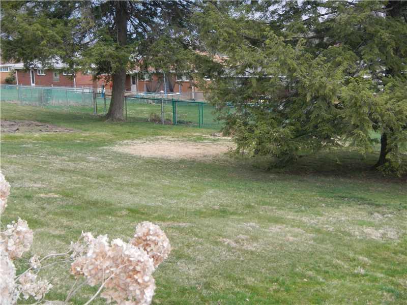 313 High Street Elizabeth, PA 15037 - Photo 19 of 20 Yard/Garden.