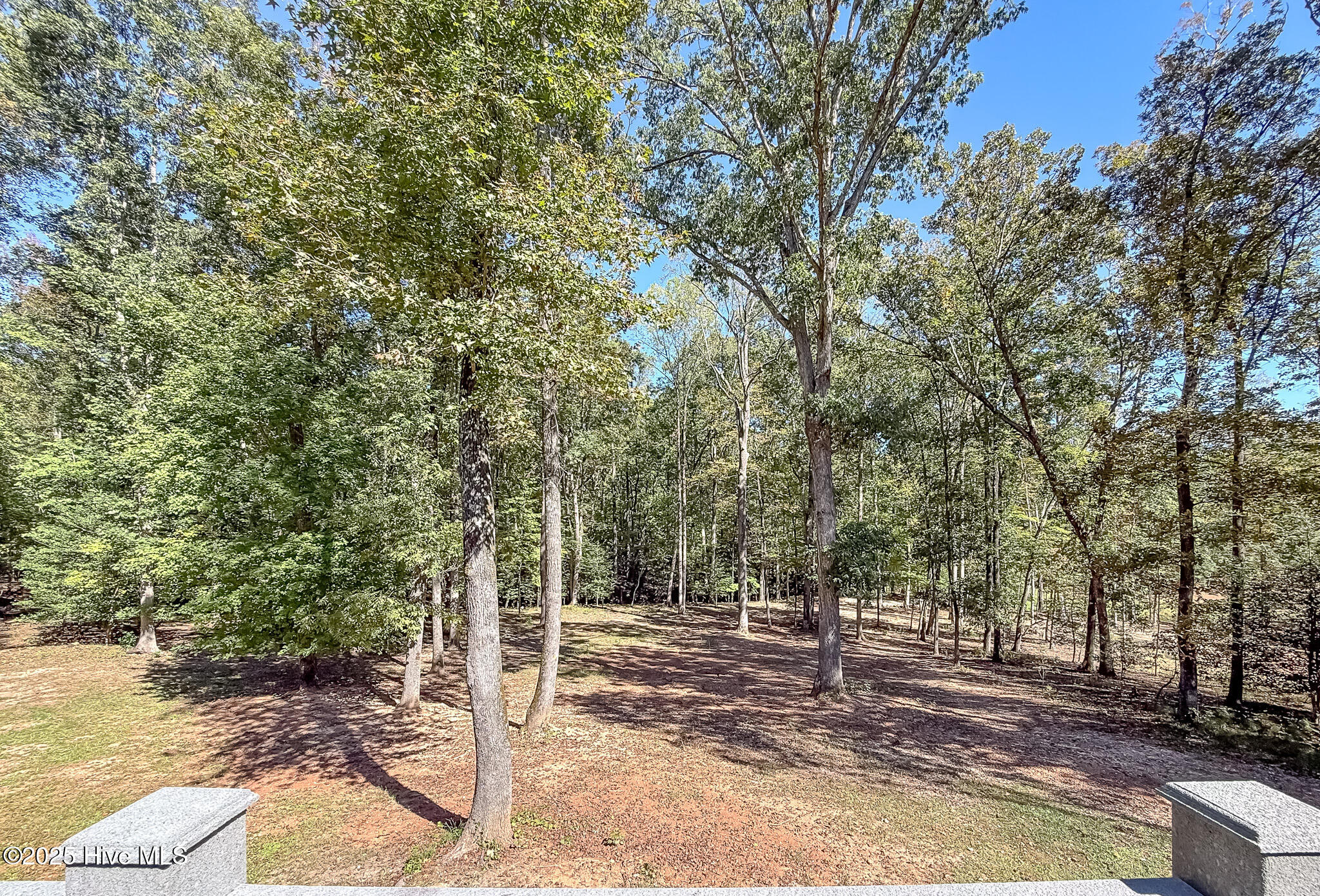 103 Palomino Road Carthage, NC 28327 - Photo 55 of 69 View from the deck