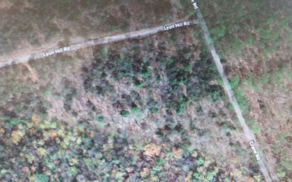 0 Crane Road Huntington, MA 01050 - Photo 2 of 2 Gallery Image 2