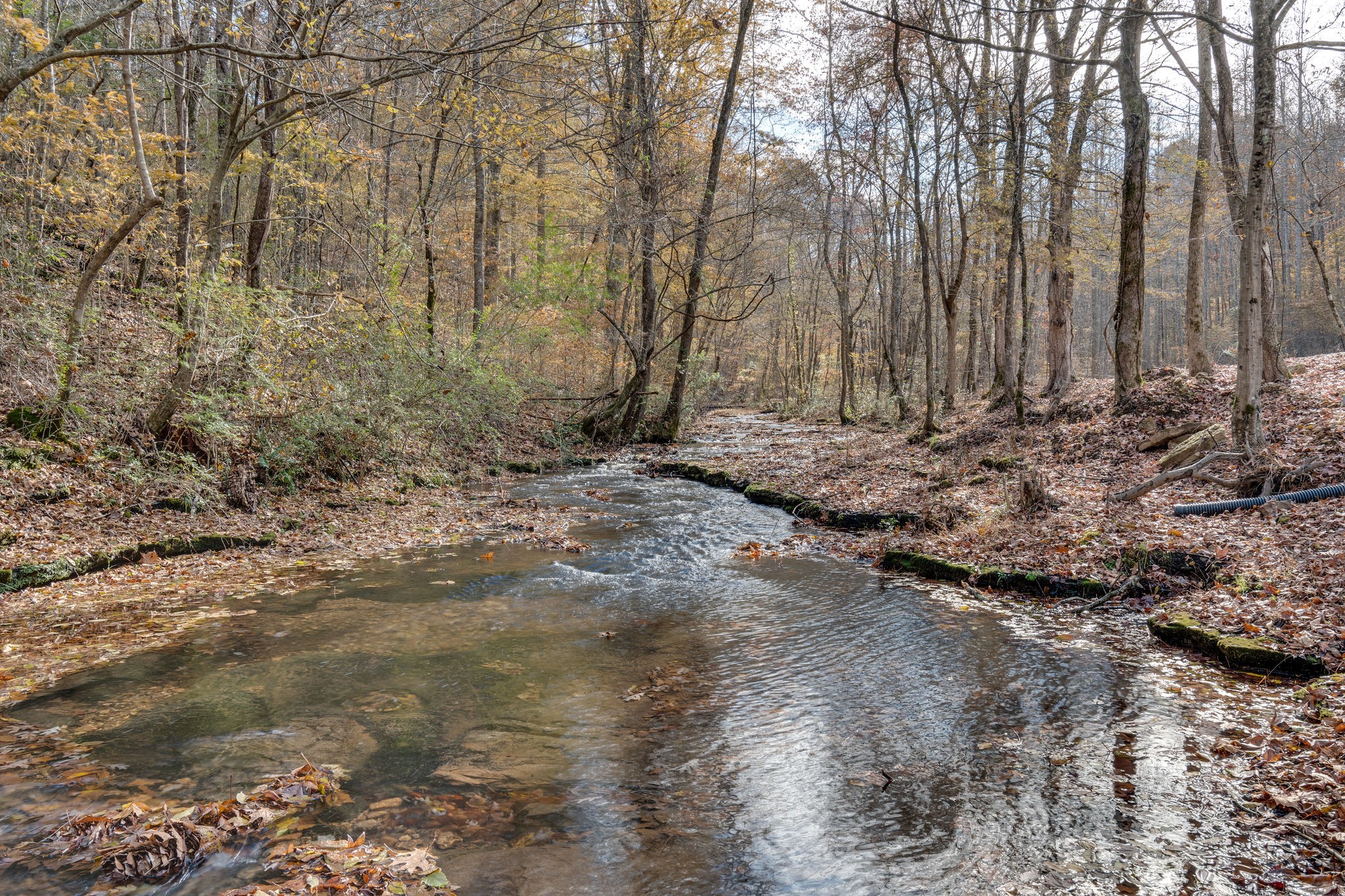 4279 Buffalo Road Hohenwald, TN 38462 - Photo 27 of 30 Gallery Image 27
