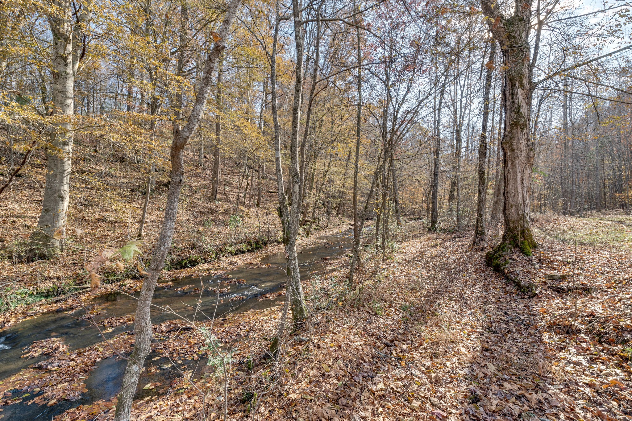 4279 Buffalo Road Hohenwald, TN 38462 - Photo 28 of 30 Gallery Image 28