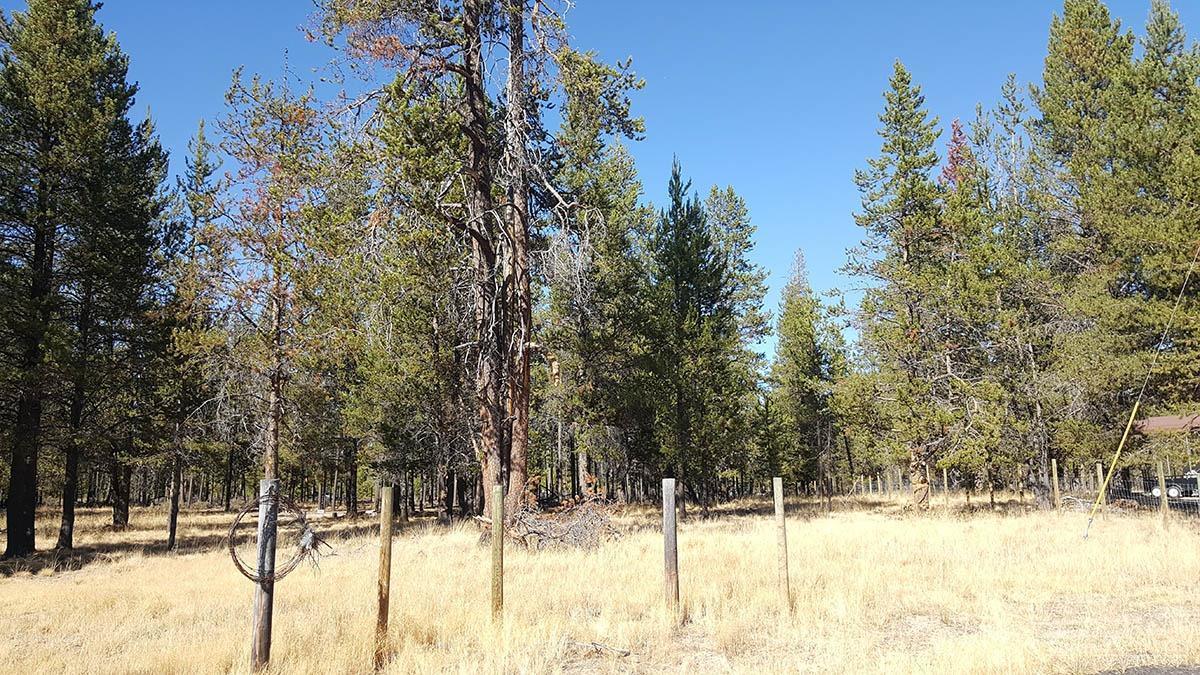 4200 Ranger Court La Pine, OR 97739 - Photo 2 of 4 Additional Photo