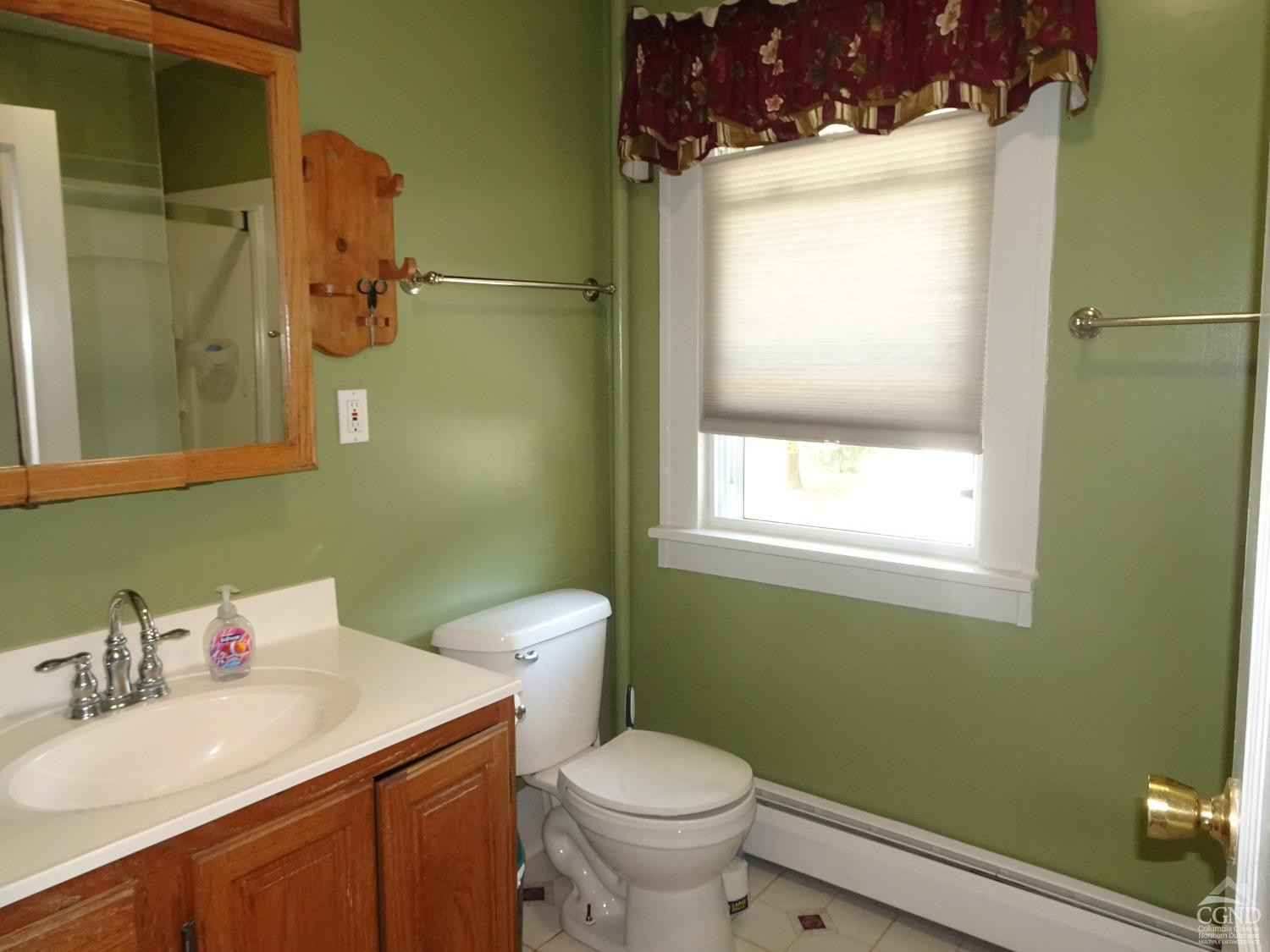 161 Highway 23 Claverack, NY 12513 - Photo 26 of 56 a bathroom with a sink and a toilet
