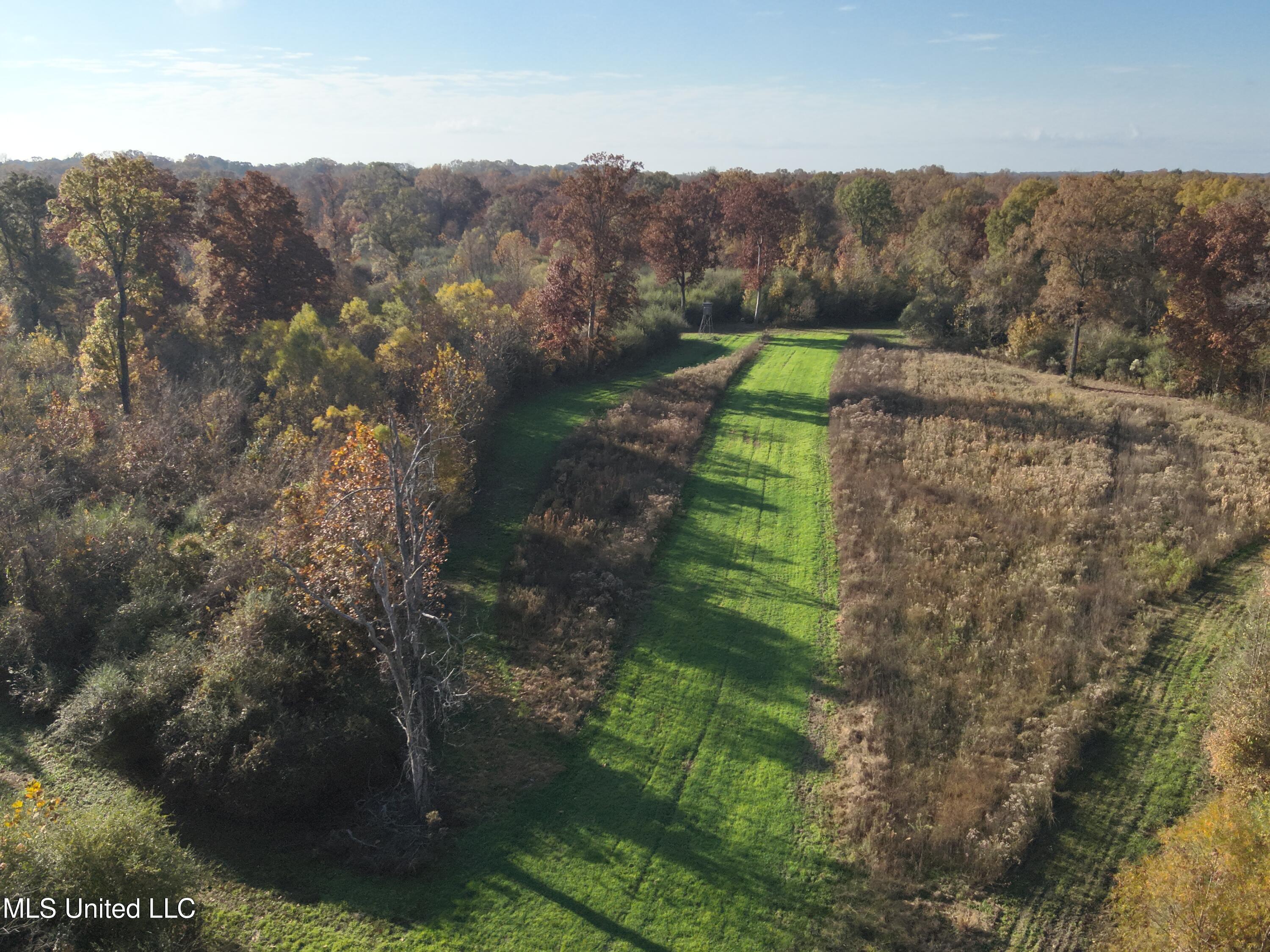 Paradise Road Bentonia, MS 39040 - Photo 11 of 42 DJI_20251118083831_0021_V