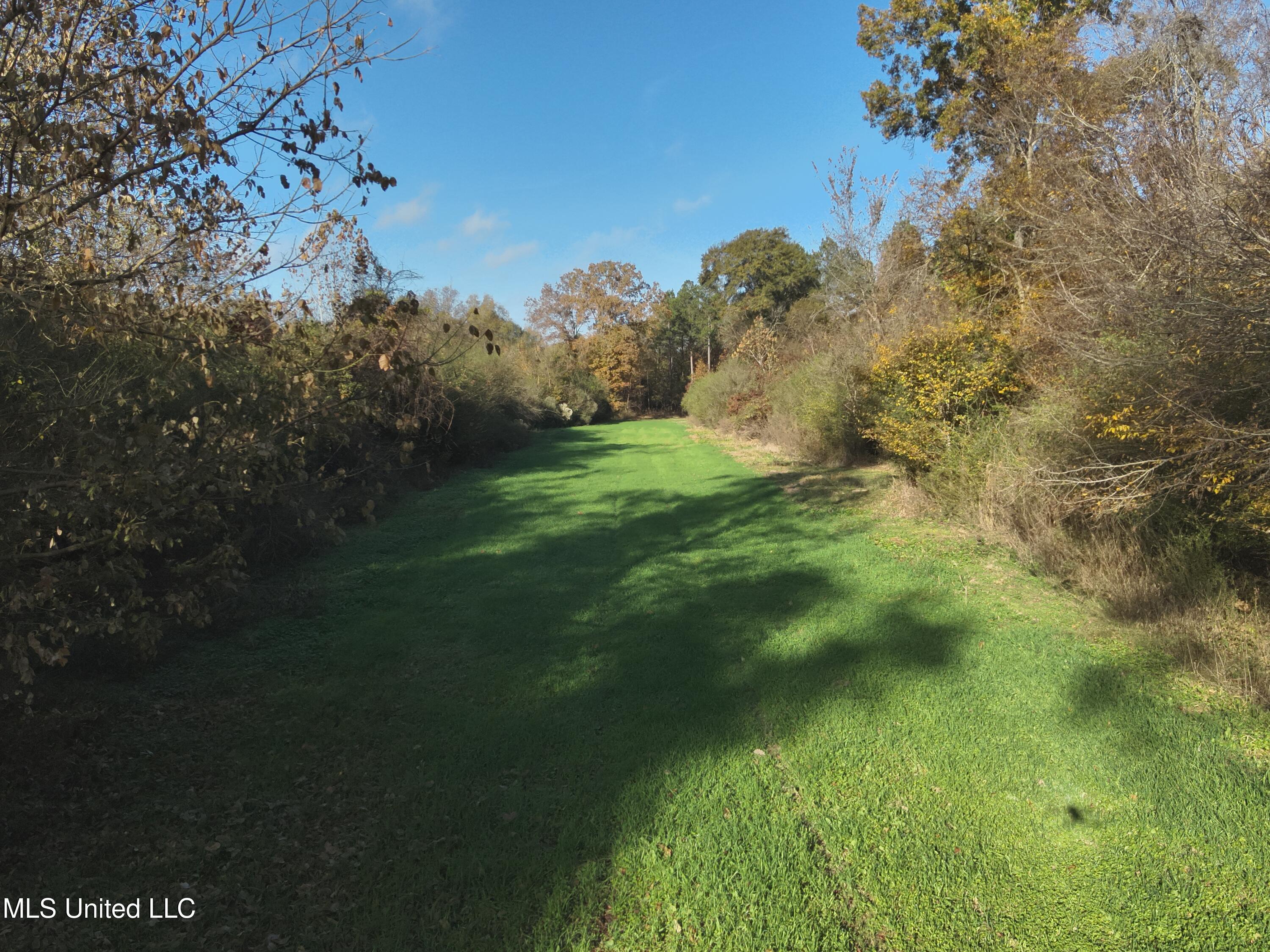 Paradise Road Bentonia, MS 39040 - Photo 13 of 42 DJI_20251118083940_0023_V