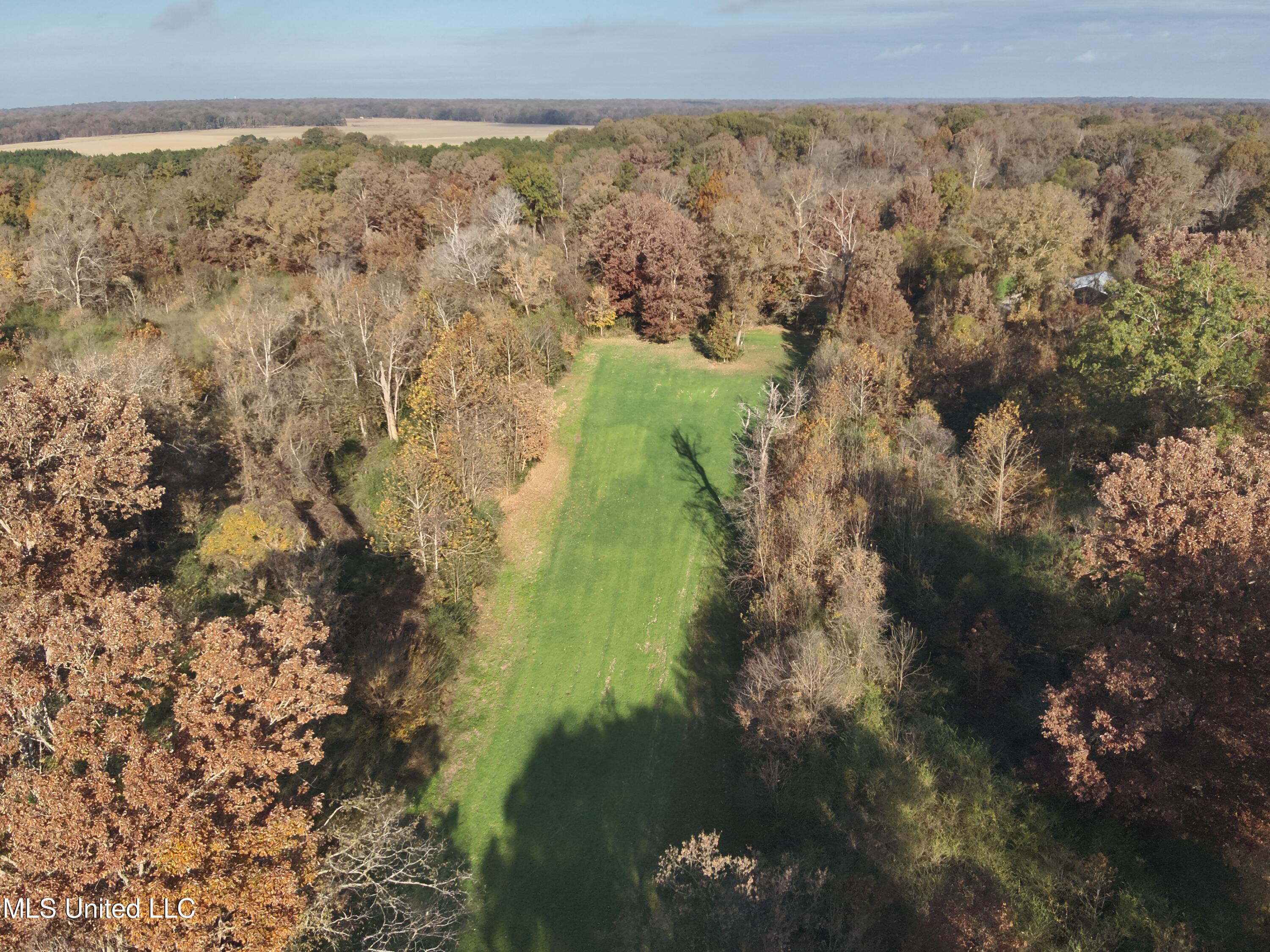 Paradise Road Bentonia, MS 39040 - Photo 14 of 42 DJI_20251118084206_0026_V
